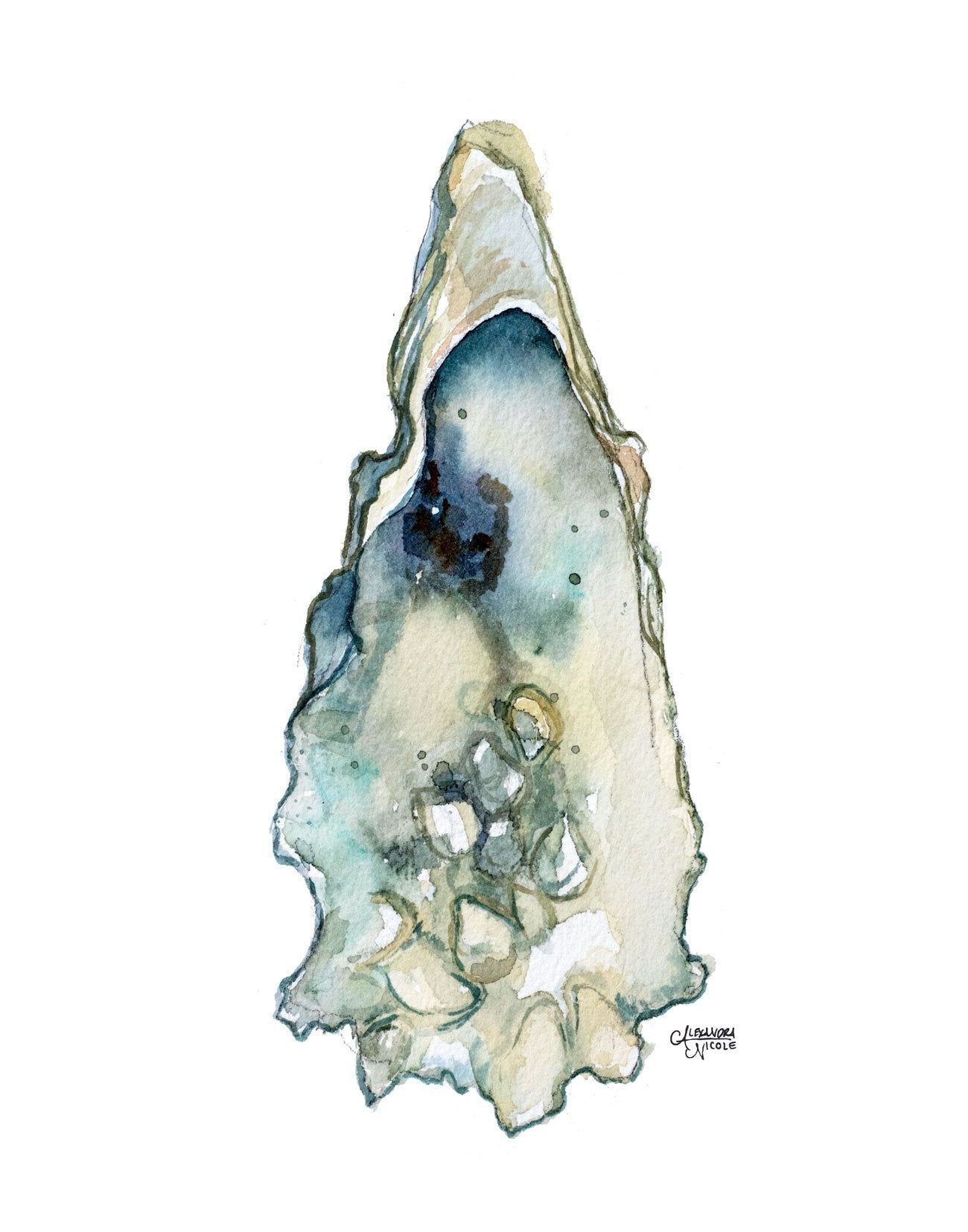 Eastern Oyster Shell Art Print - ArtByAlexandraNicole