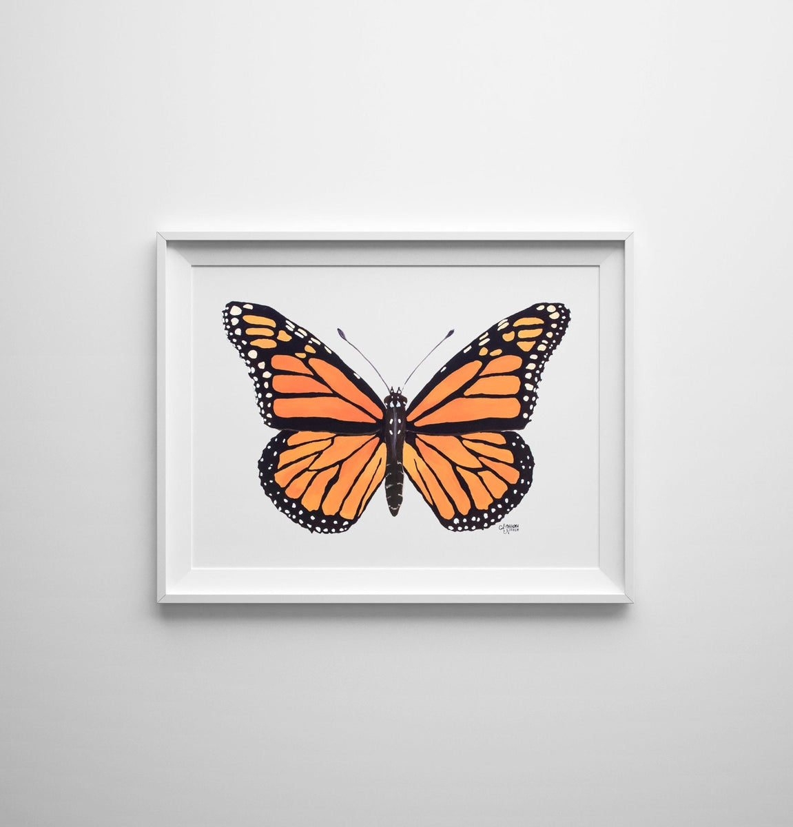Monarch Butterfly Art Print by Alexandra Nicole – ArtByAlexandraNicole