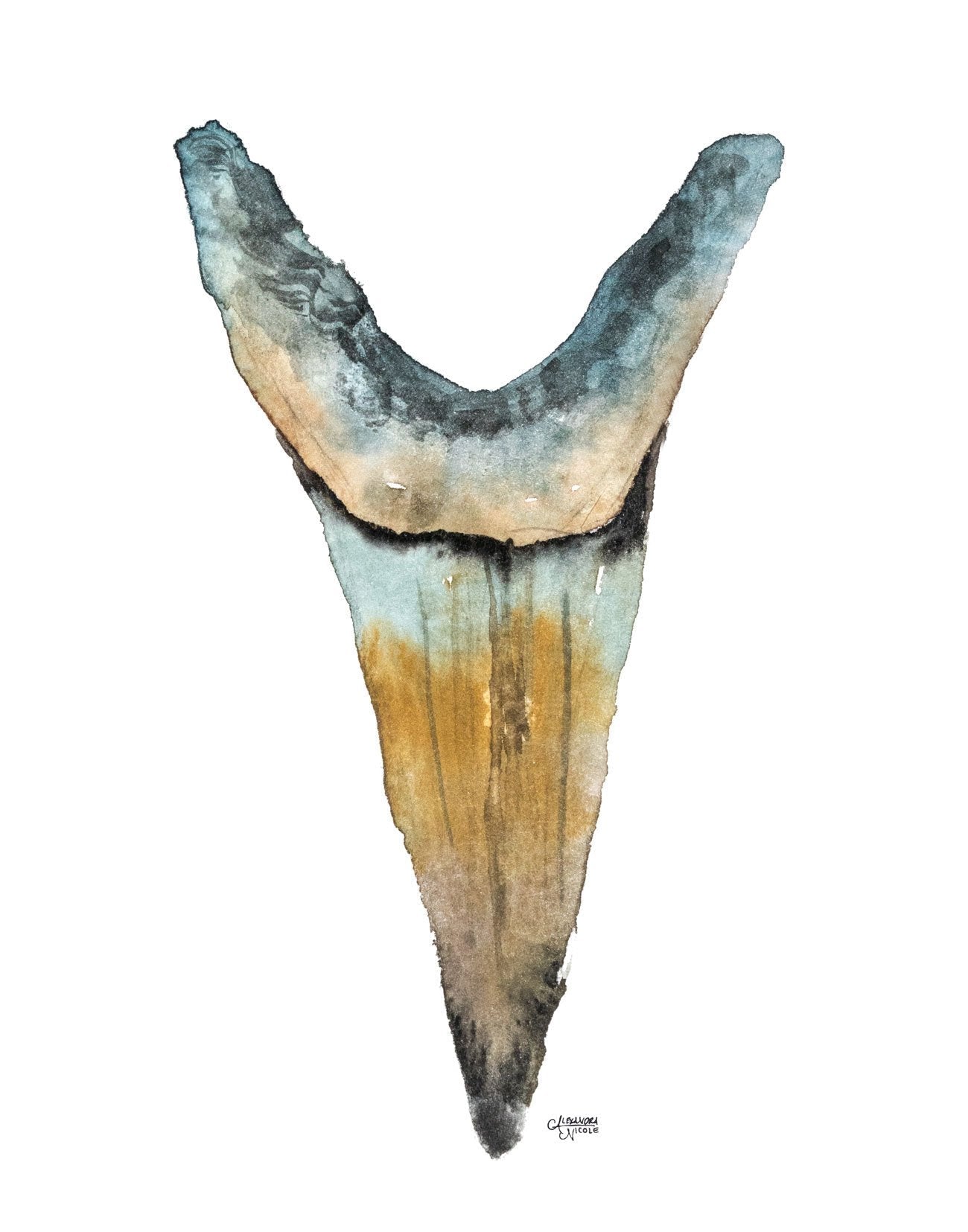 Shark Tooth Discounted Watercolor Print Set of 3 - ArtByAlexandraNicole