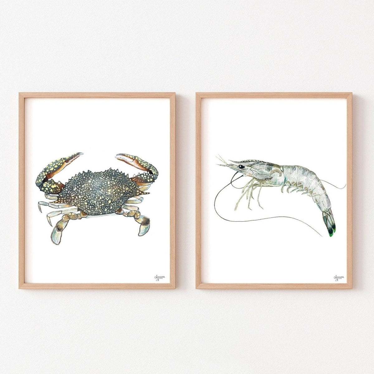 Shrimp and Crab Art Prints by Coastal Artist Alexandra Nicole