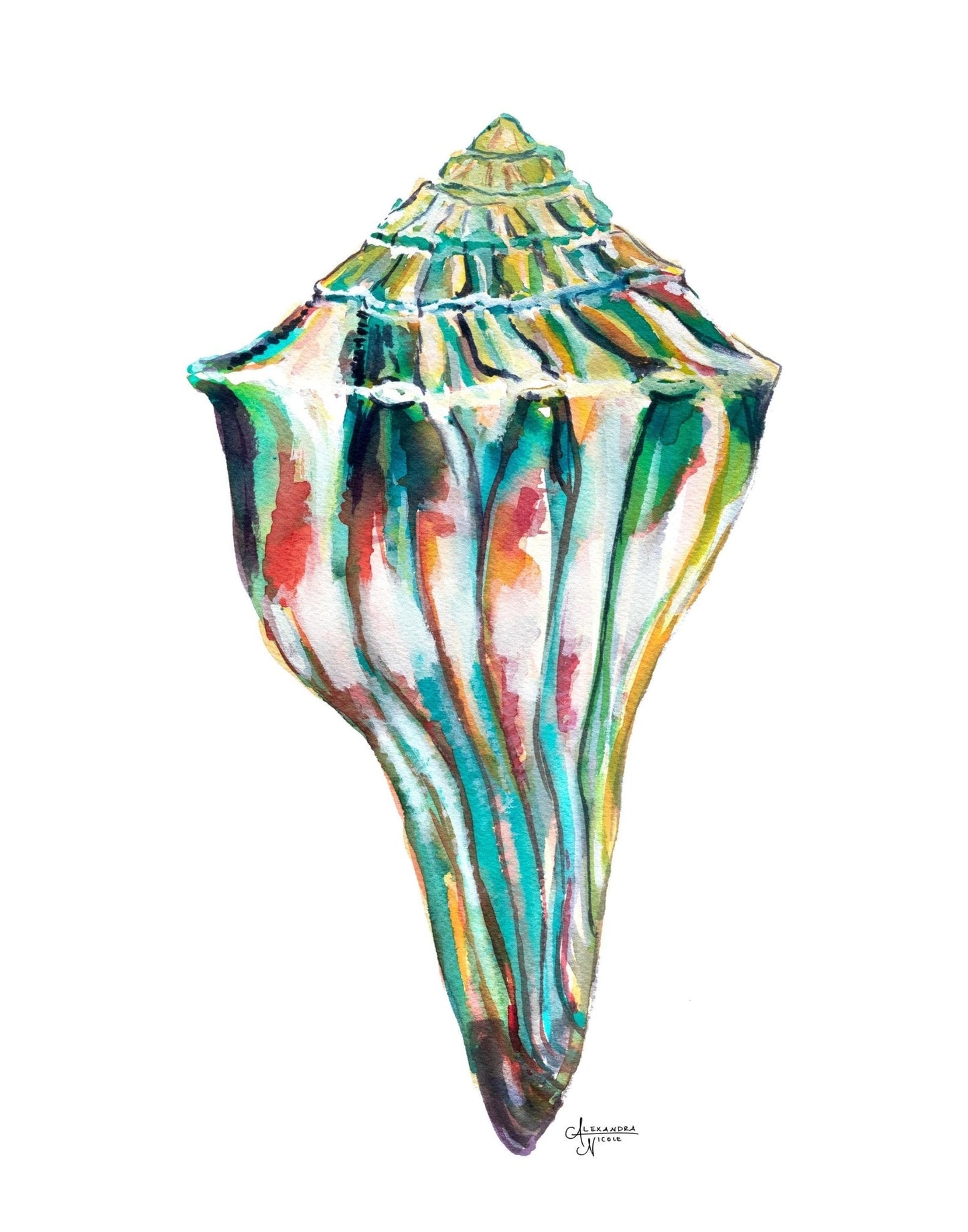 Whelk Shell Watercolor Art Print, Whelk 1 - ArtByAlexandraNicole