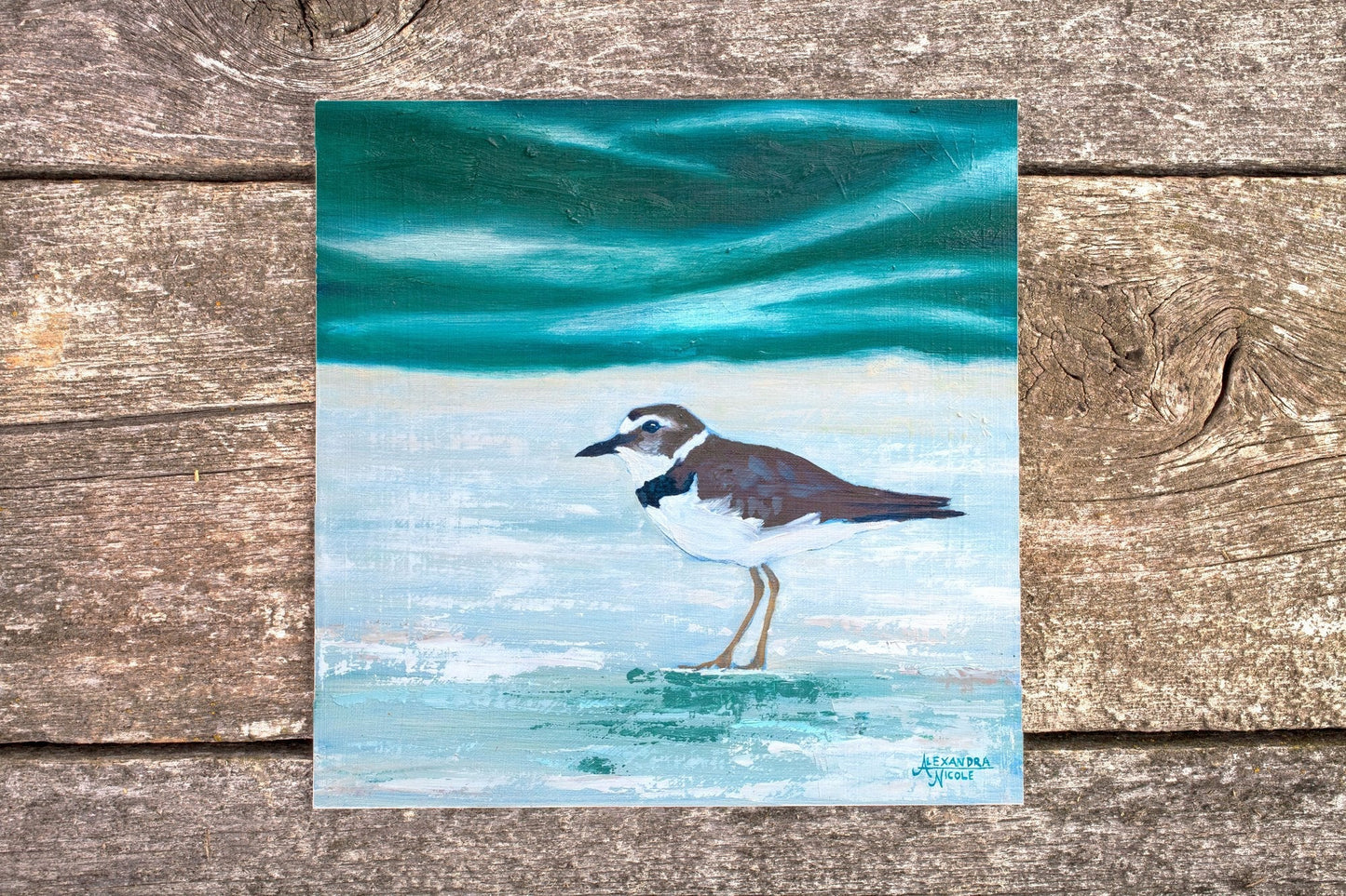 Wilson's Plover Art Print - ArtByAlexandraNicole