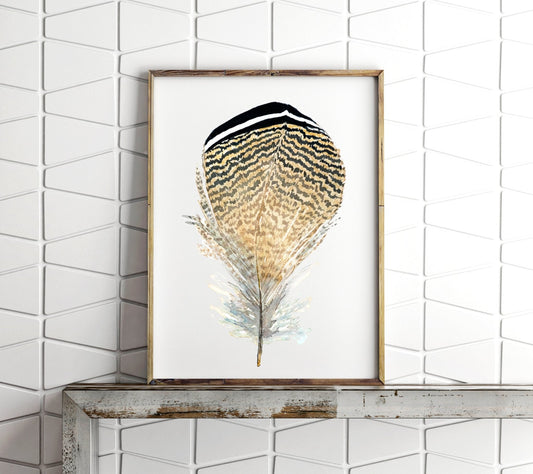 Wood Duck Feather Art Print - ArtByAlexandraNicole