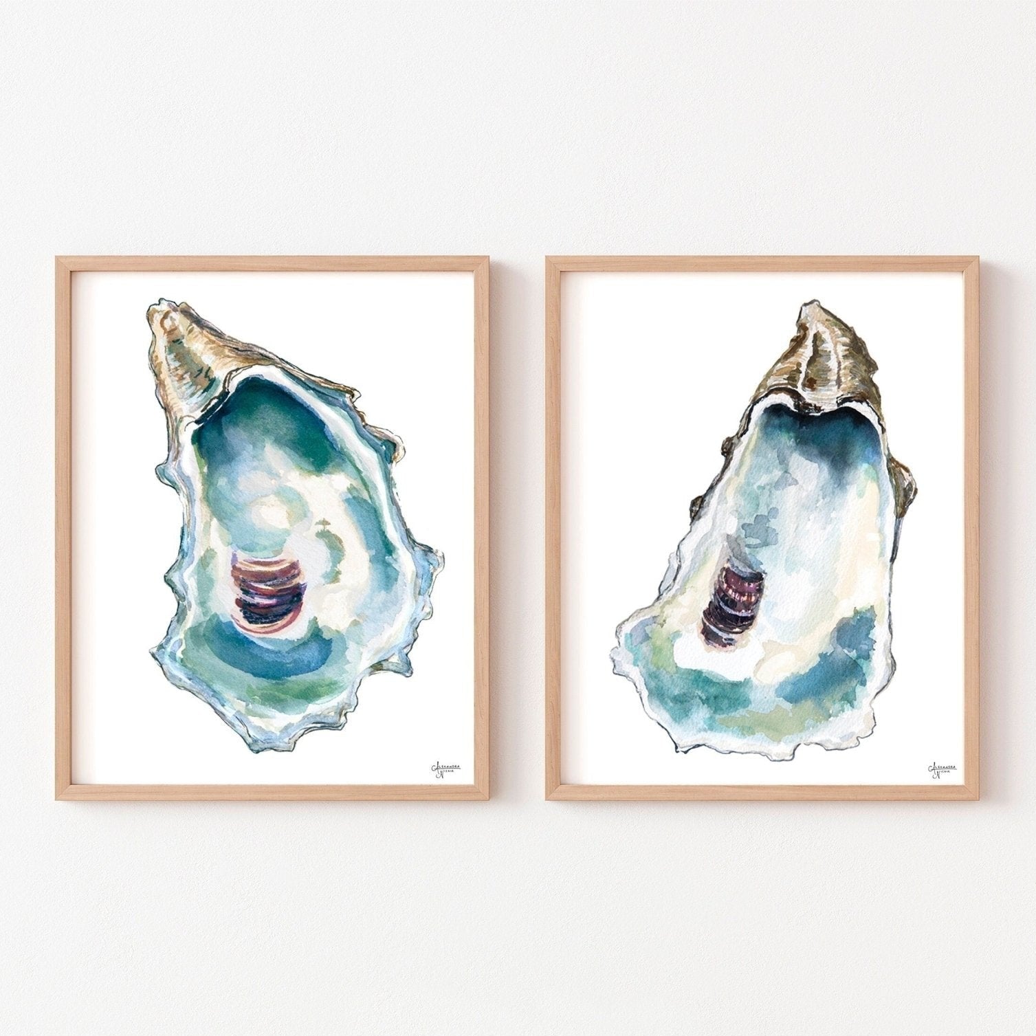 Blue Oyster Watercolor Prints, Sea Shell Print Set, Coastal Print Set - ArtByAlexandraNicole