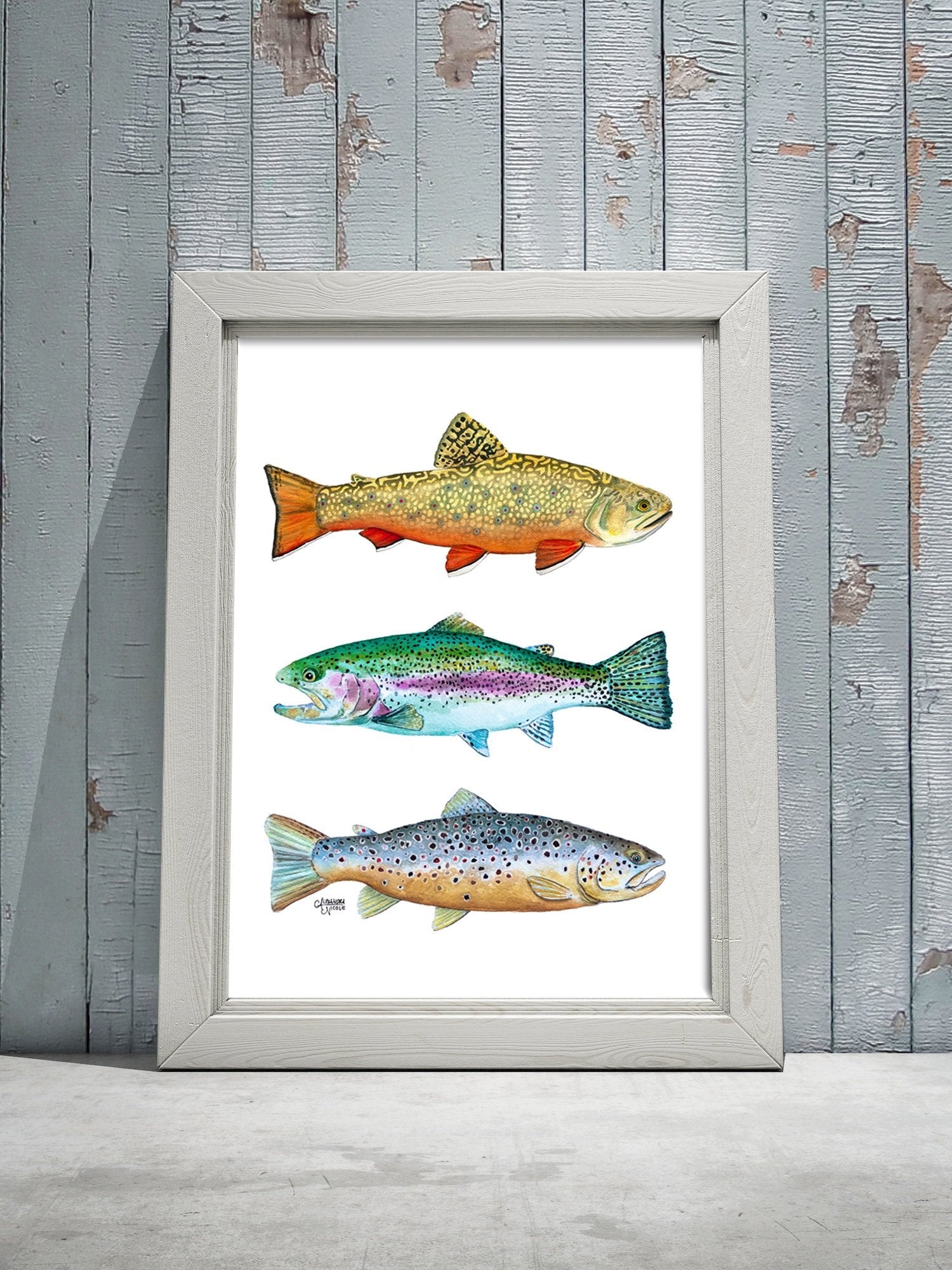 Brook, Brown, and Rainbow Trout Watercolor Print - ArtByAlexandraNicole