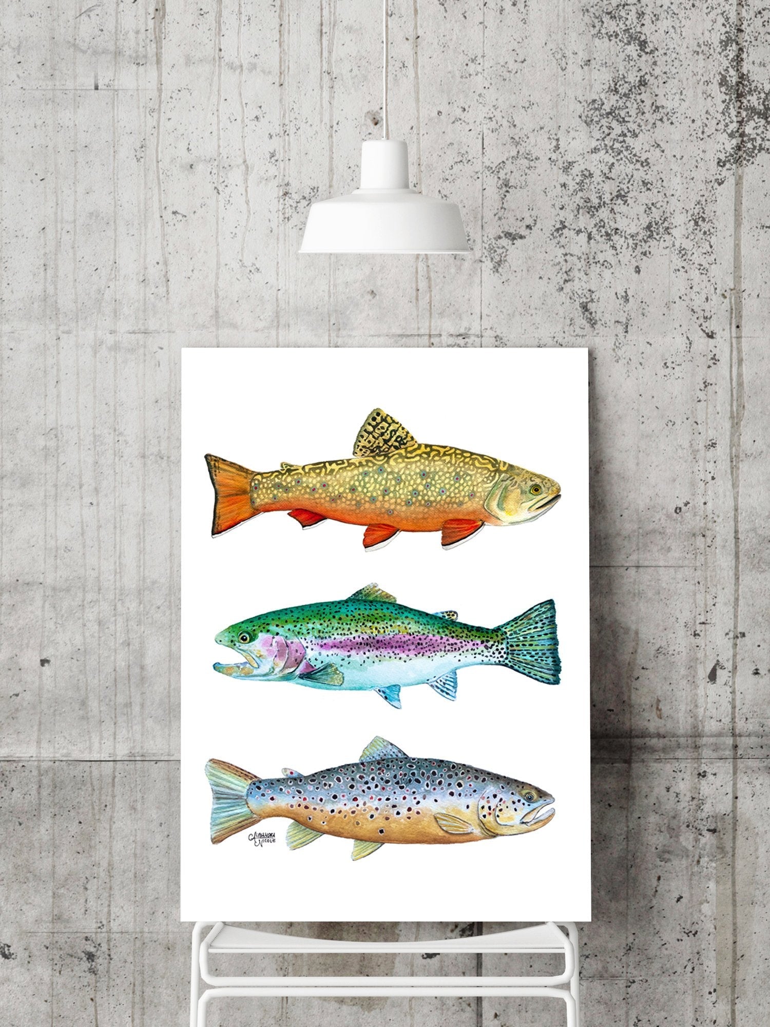 Brook, Brown, and Rainbow Trout Watercolor Print - ArtByAlexandraNicole