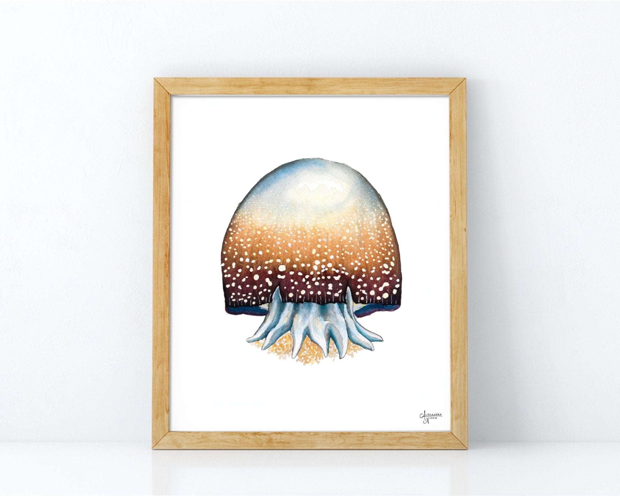 Cannonball Jellyfish Fine Art Print, Watercolor Sea Creatures - ArtByAlexandraNicole