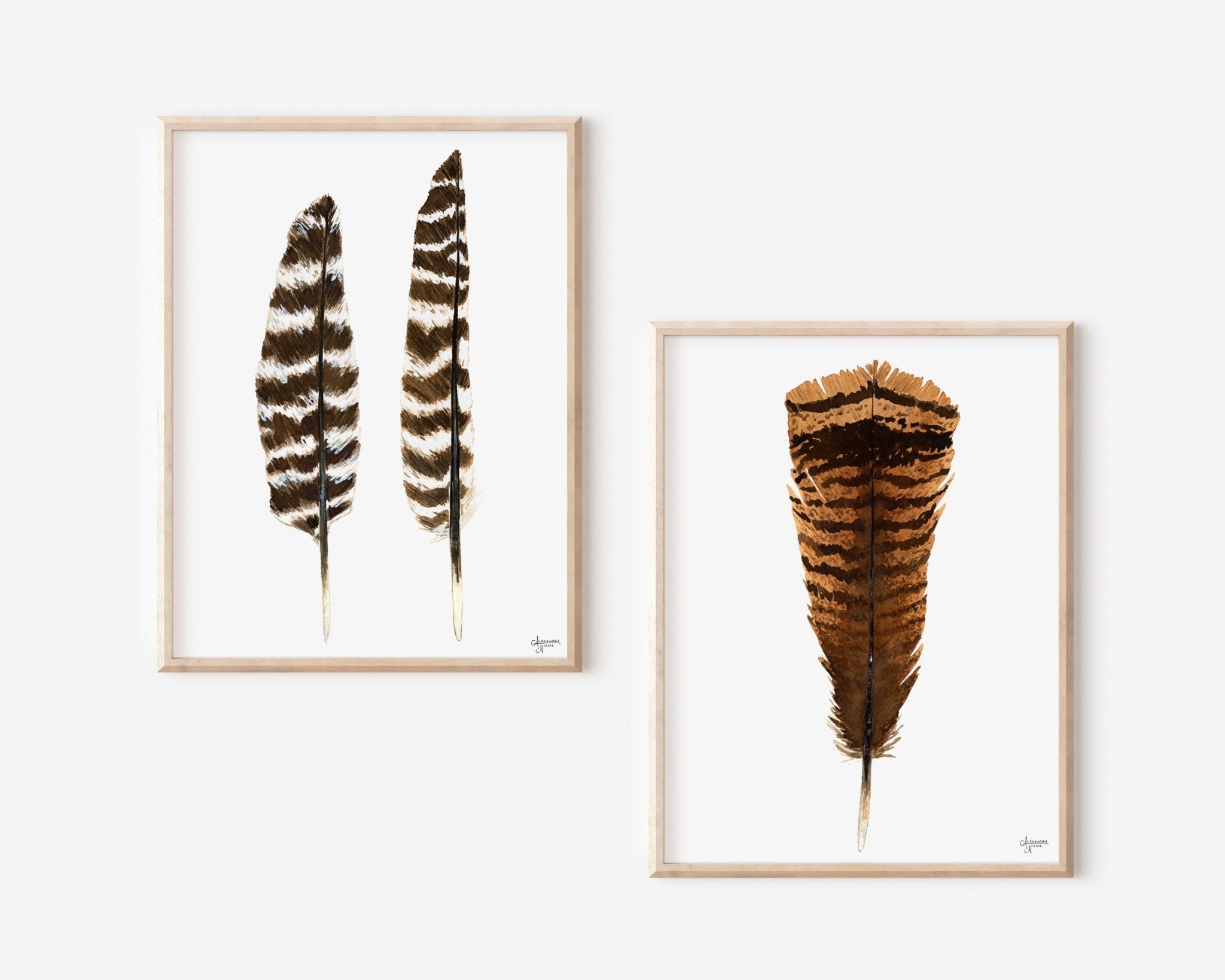 Eastern Wild Turkey, Print Set of 2 - ArtByAlexandraNicole