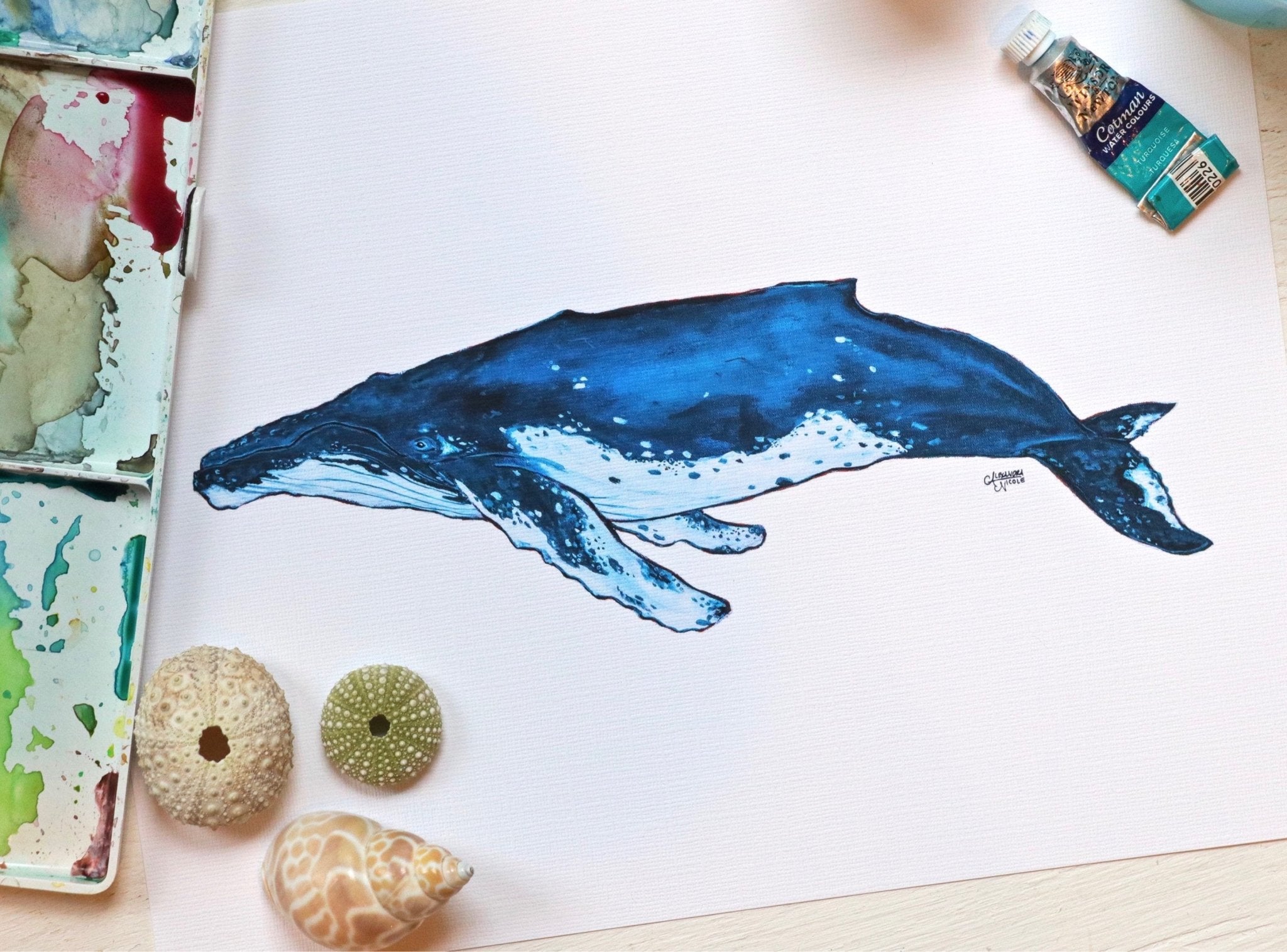 Humpback Whale Art Print - ArtByAlexandraNicole