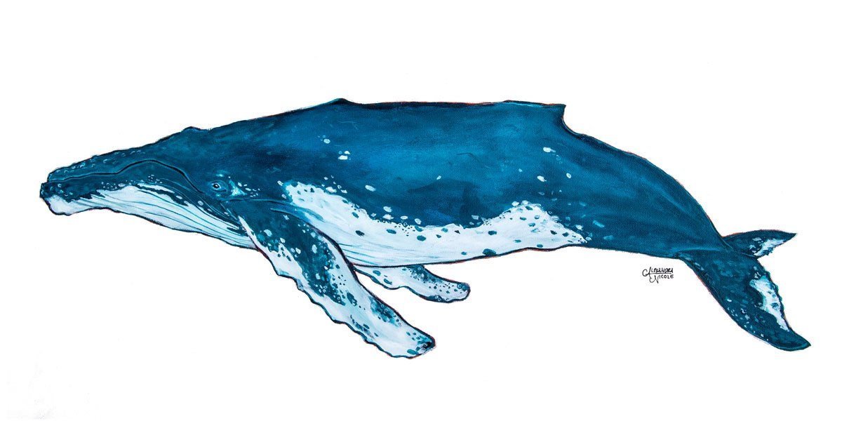 Humpback Whale Art Print - ArtByAlexandraNicole