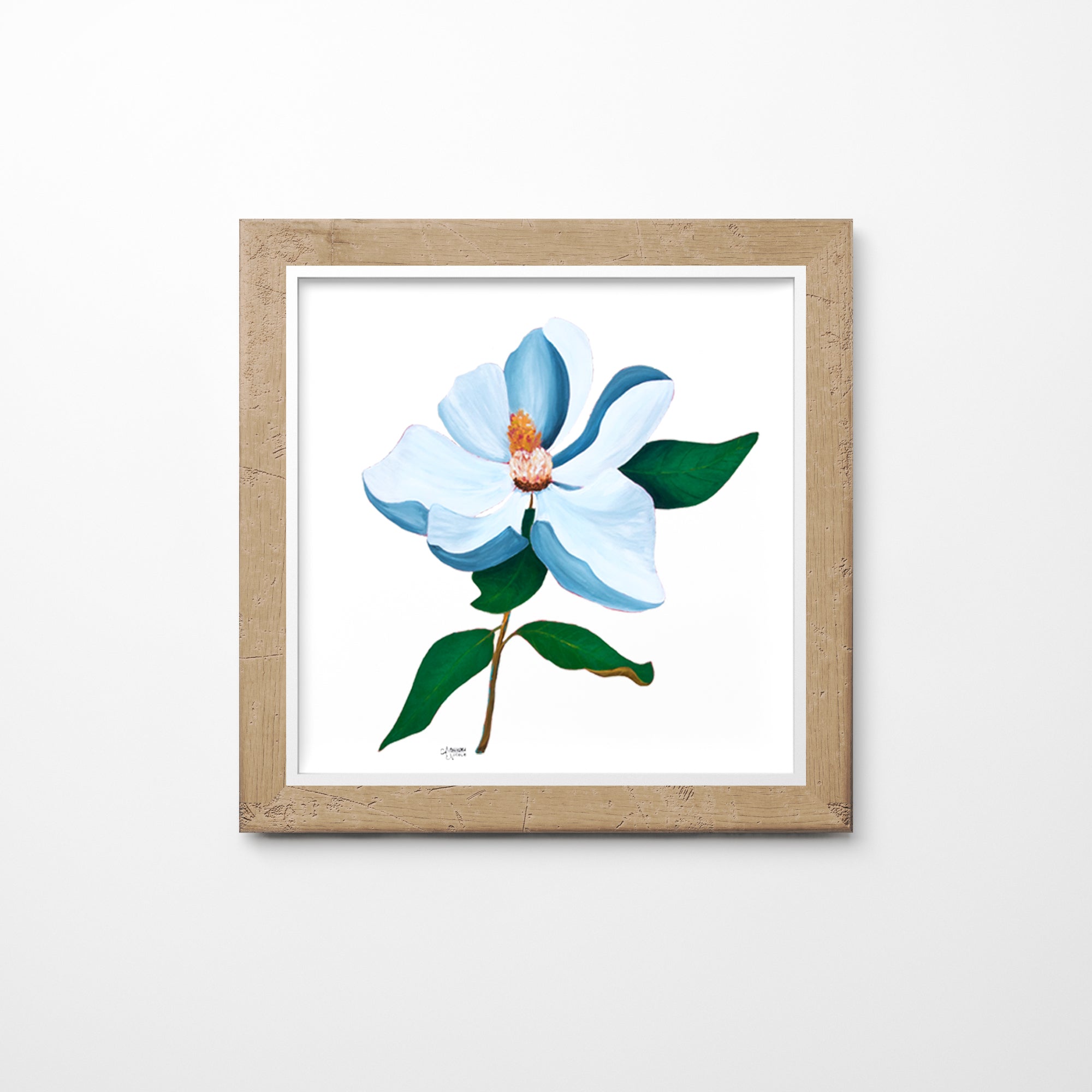 Magnolia Botanical Art Print - ArtByAlexandraNicole
