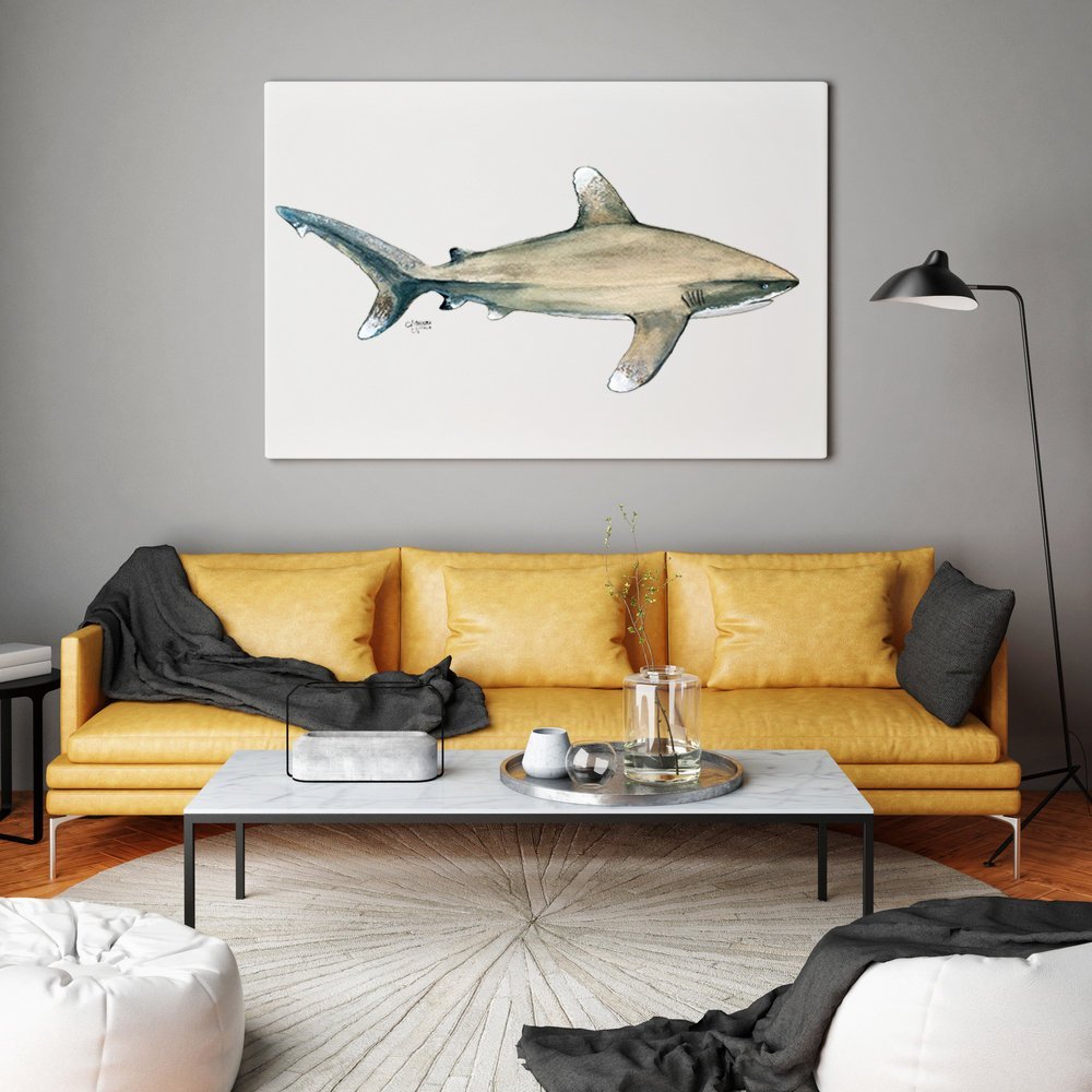Oceanic Whitetip Shark Art Print - ArtByAlexandraNicole