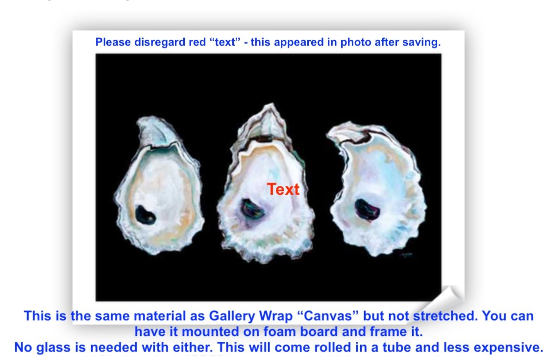 Oyster Shell Printed on Rolled Canvas - ArtByAlexandraNicole