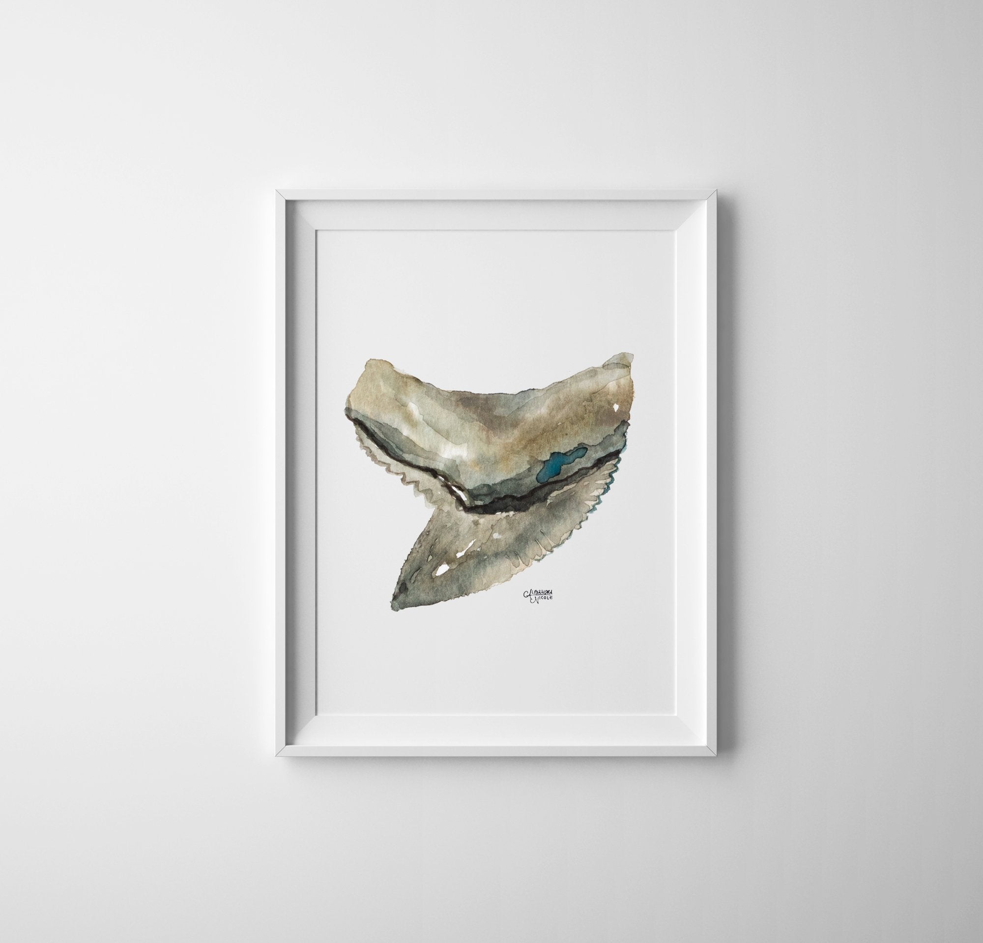 Shark Tooth Tiger Watercolor Art Print Minimalist Decor - Shark Tooth No. 4 - ArtByAlexandraNicole