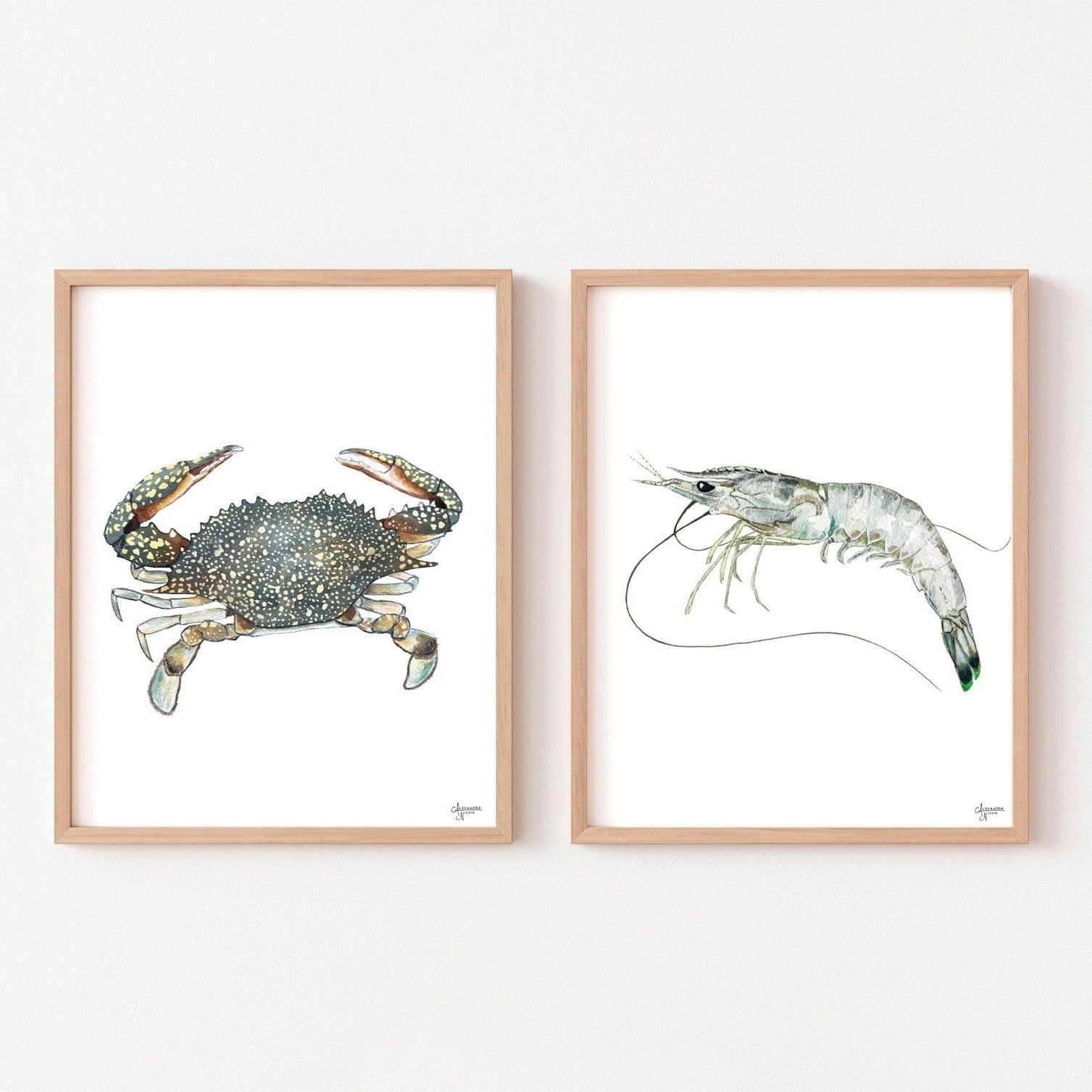 Shrimp and Crab Art Print Set - ArtByAlexandraNicole