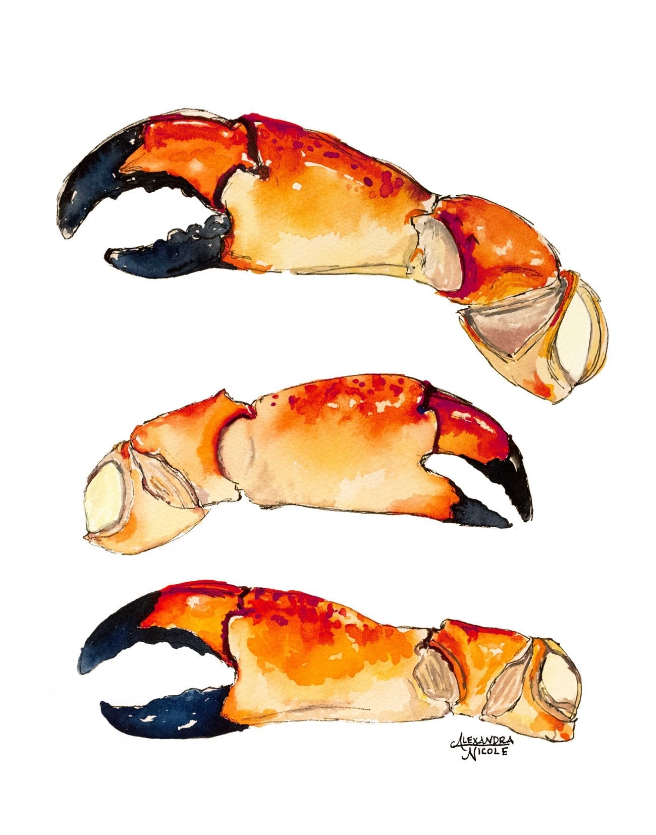 Stone Crab Claw Print - ArtByAlexandraNicole
