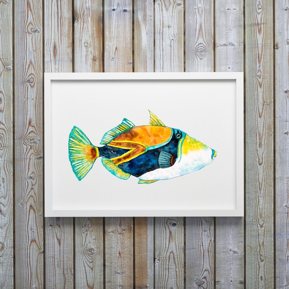 Trigger Fish Art Print or Hawaiian Reef Trigger Fish aka Humuhumunukunukuapuaa - ArtByAlexandraNicole