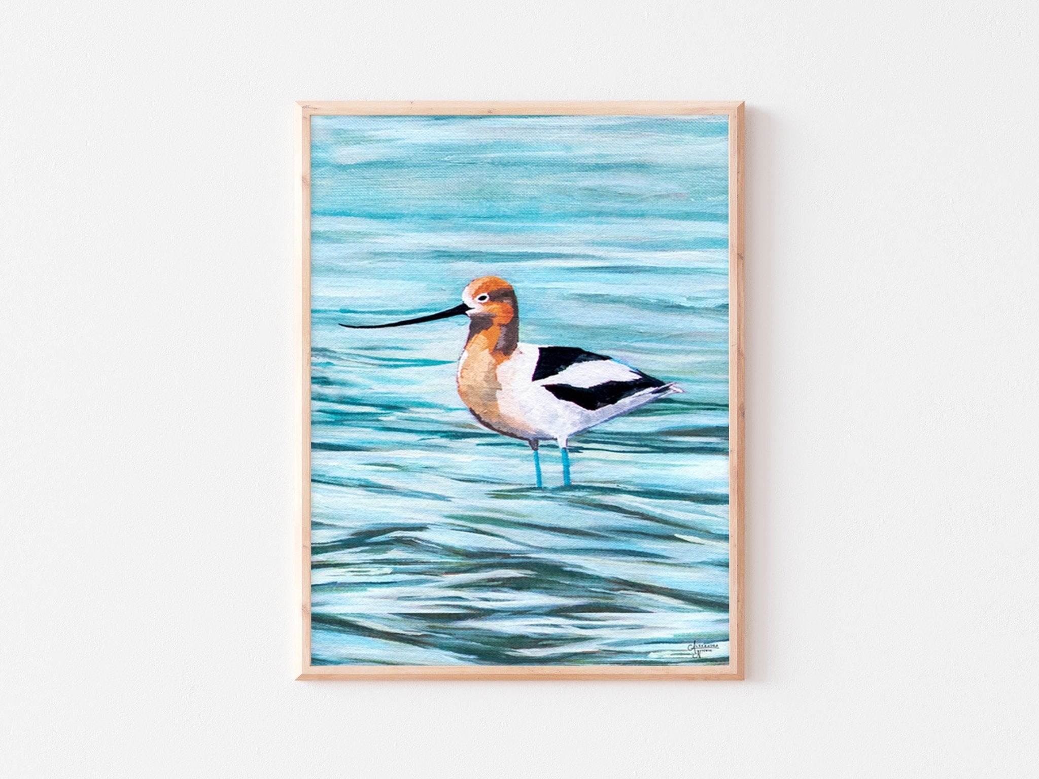 American Avocet - ArtByAlexandraNicole