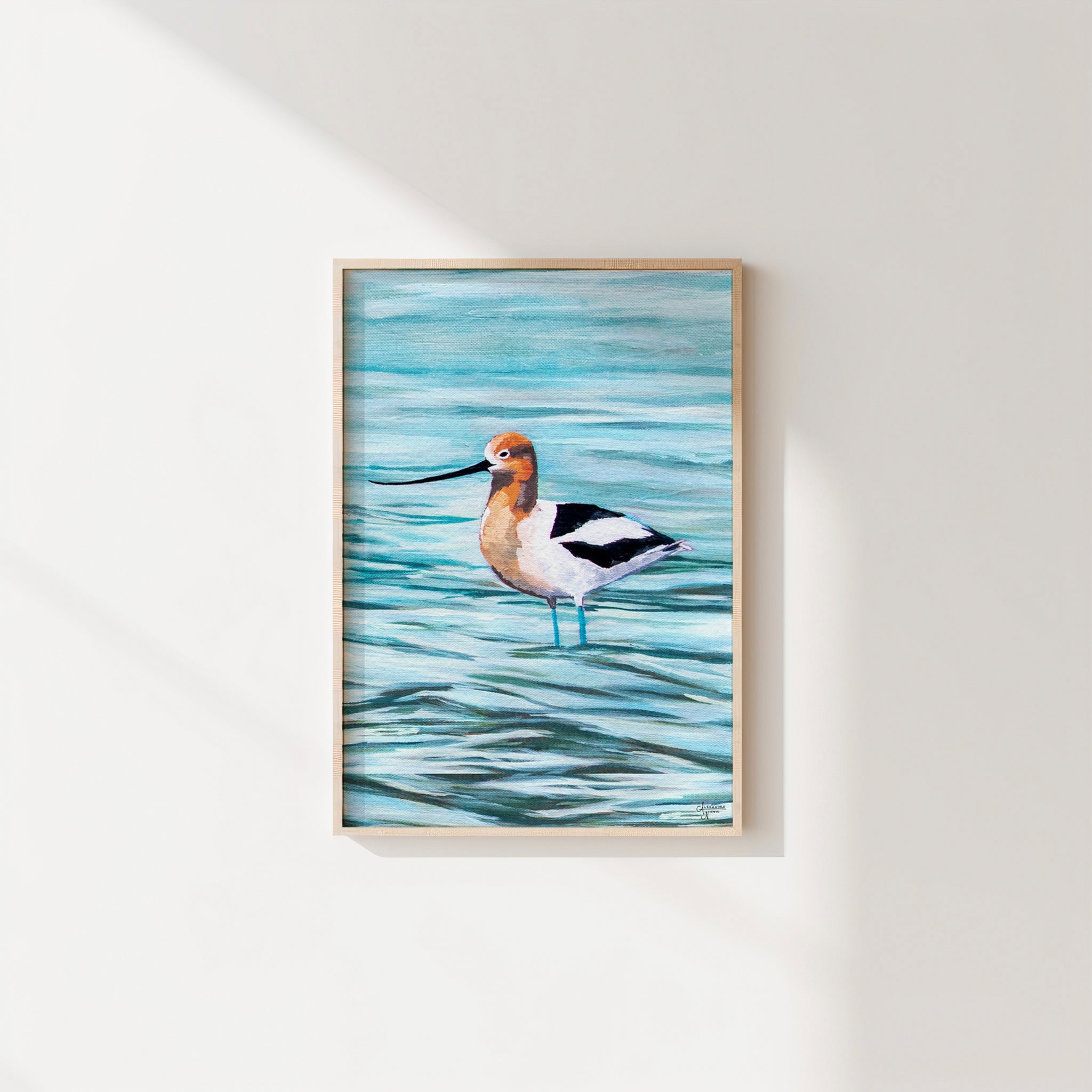 American Avocet - ArtByAlexandraNicole