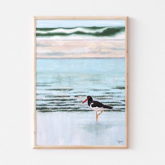 American Oystercatcher Print - ArtByAlexandraNicole
