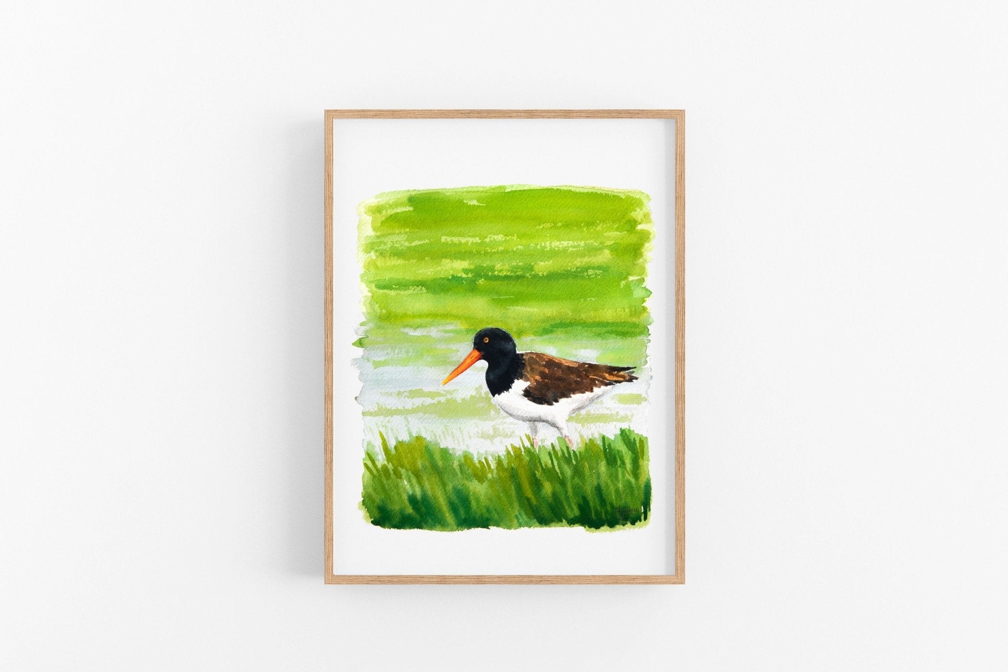 American Oystercatcher Print - ArtByAlexandraNicole