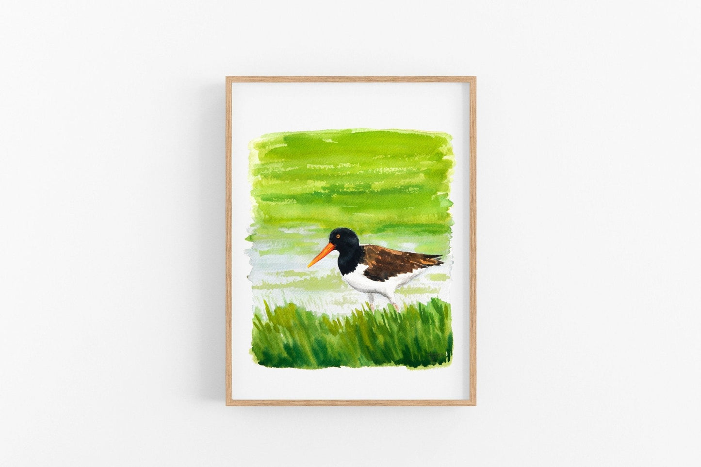 American Oystercatcher Print - ArtByAlexandraNicole