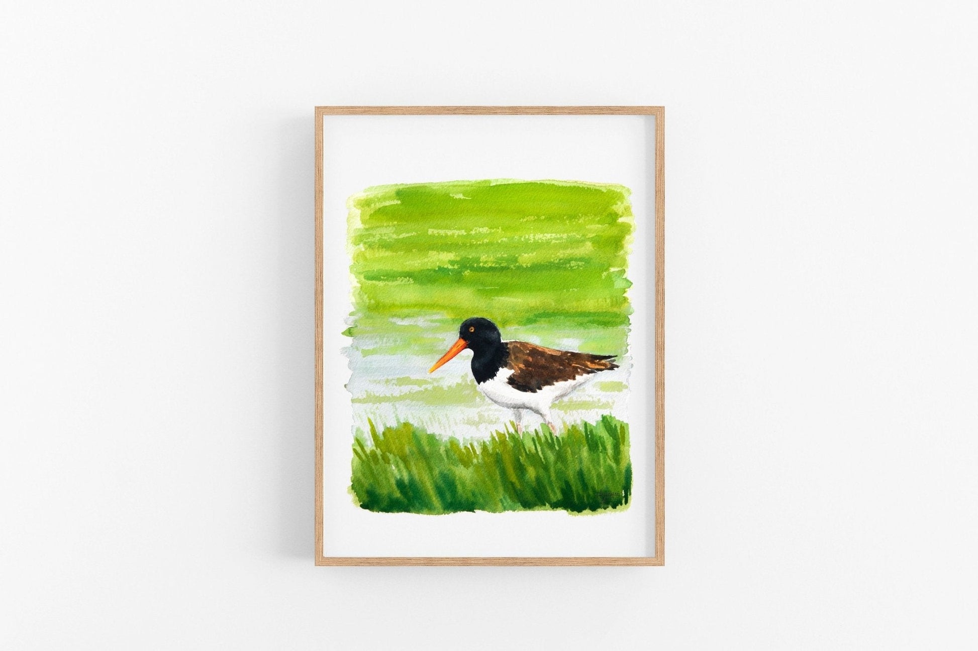 American Oystercatcher Print - ArtByAlexandraNicole