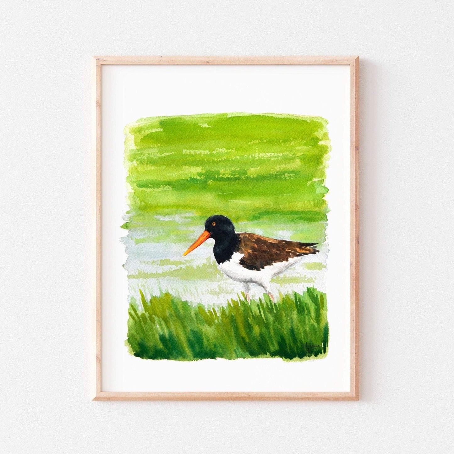 American Oystercatcher Print - ArtByAlexandraNicole
