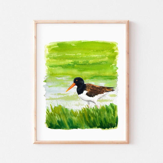 American Oystercatcher Print - ArtByAlexandraNicole