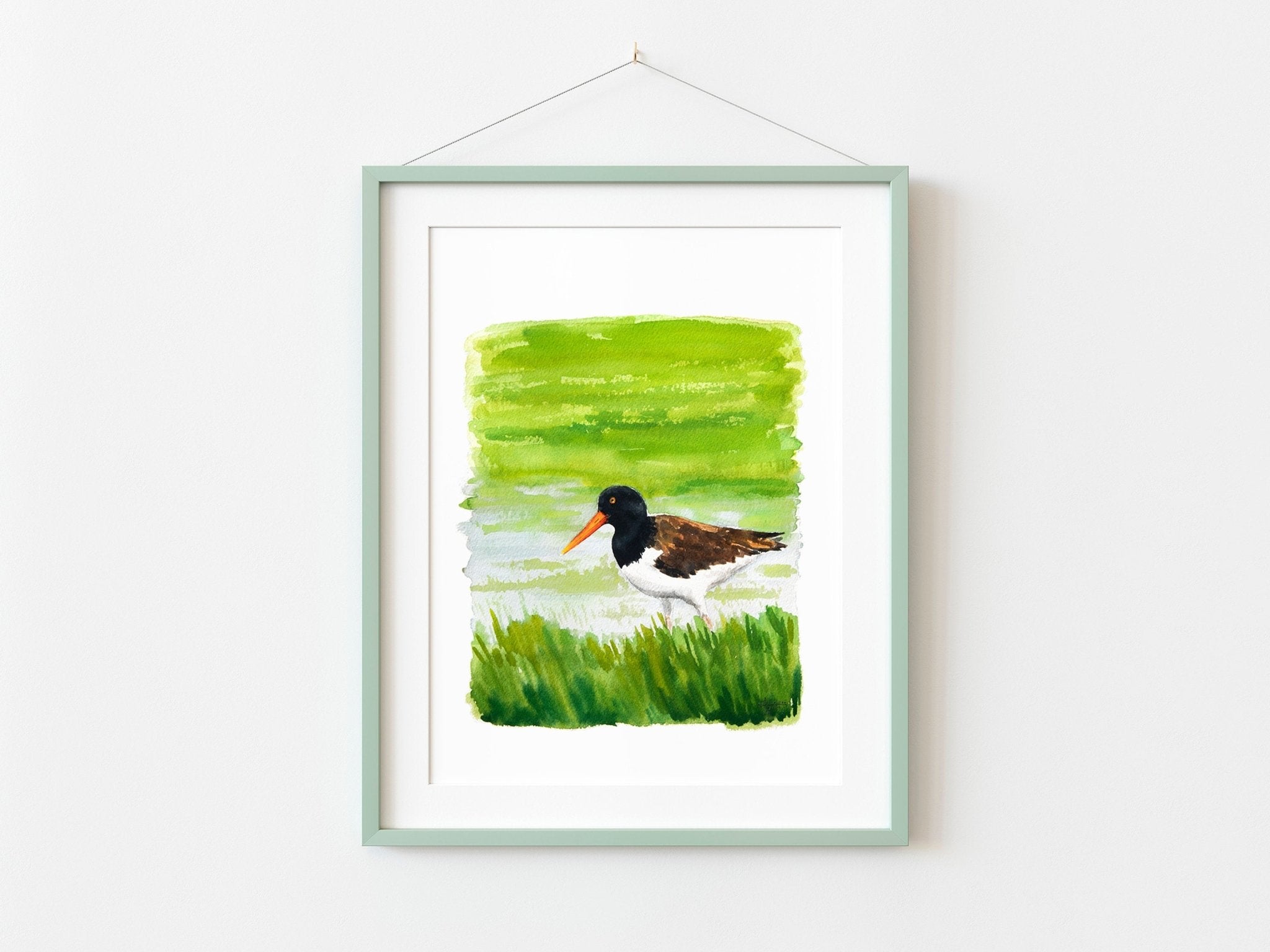 American Oystercatcher Print - ArtByAlexandraNicole
