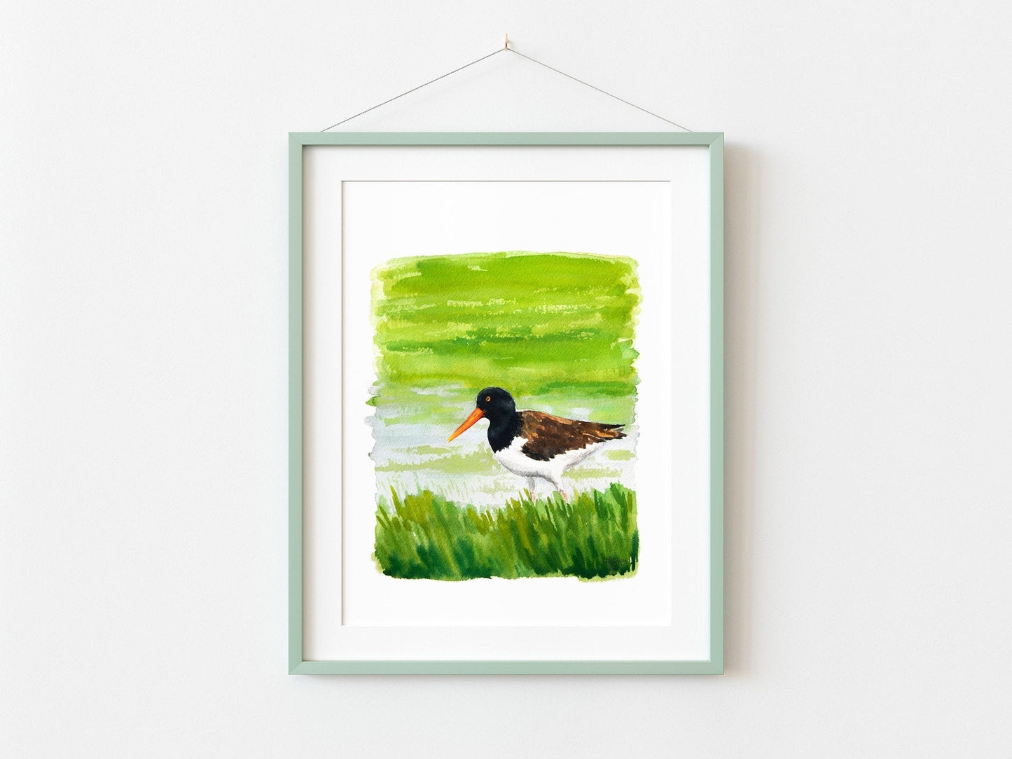 American Oystercatcher Print - ArtByAlexandraNicole