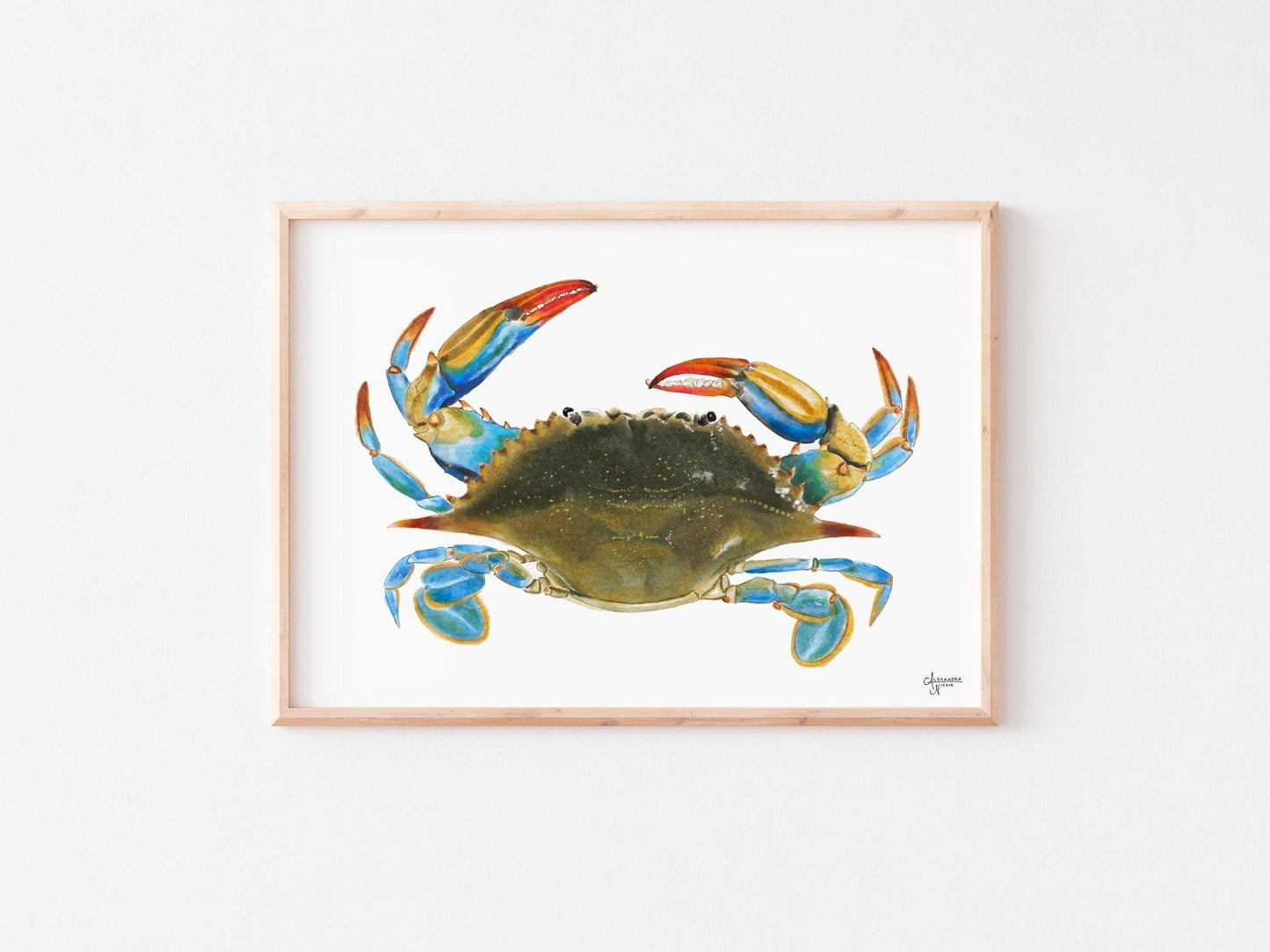 Atlantic Blue Crab Print for Coastal Vibes and Beachy Decor - ArtByAlexandraNicole