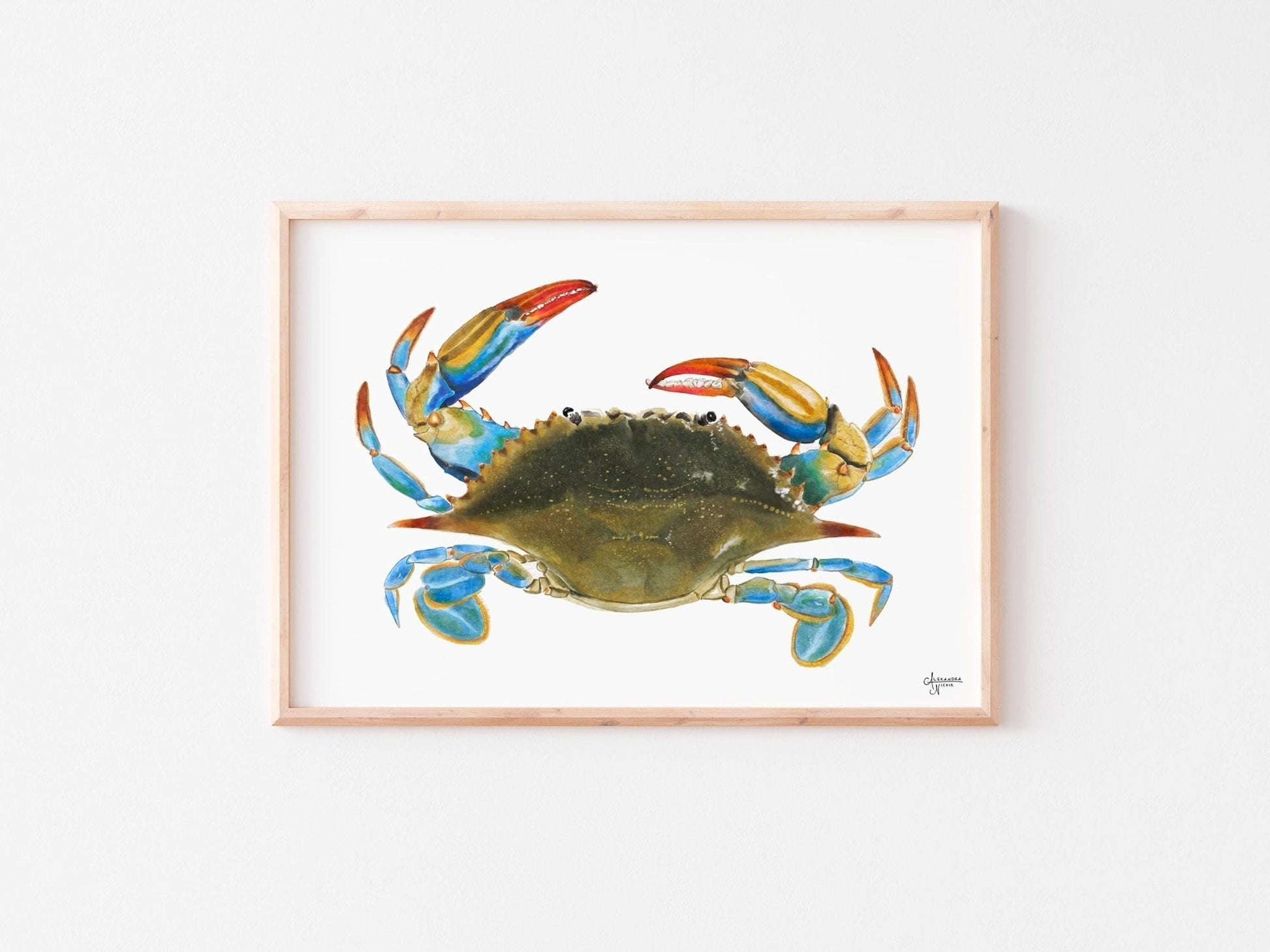 Atlantic Blue Crab Print for Coastal Vibes and Beachy Decor - ArtByAlexandraNicole