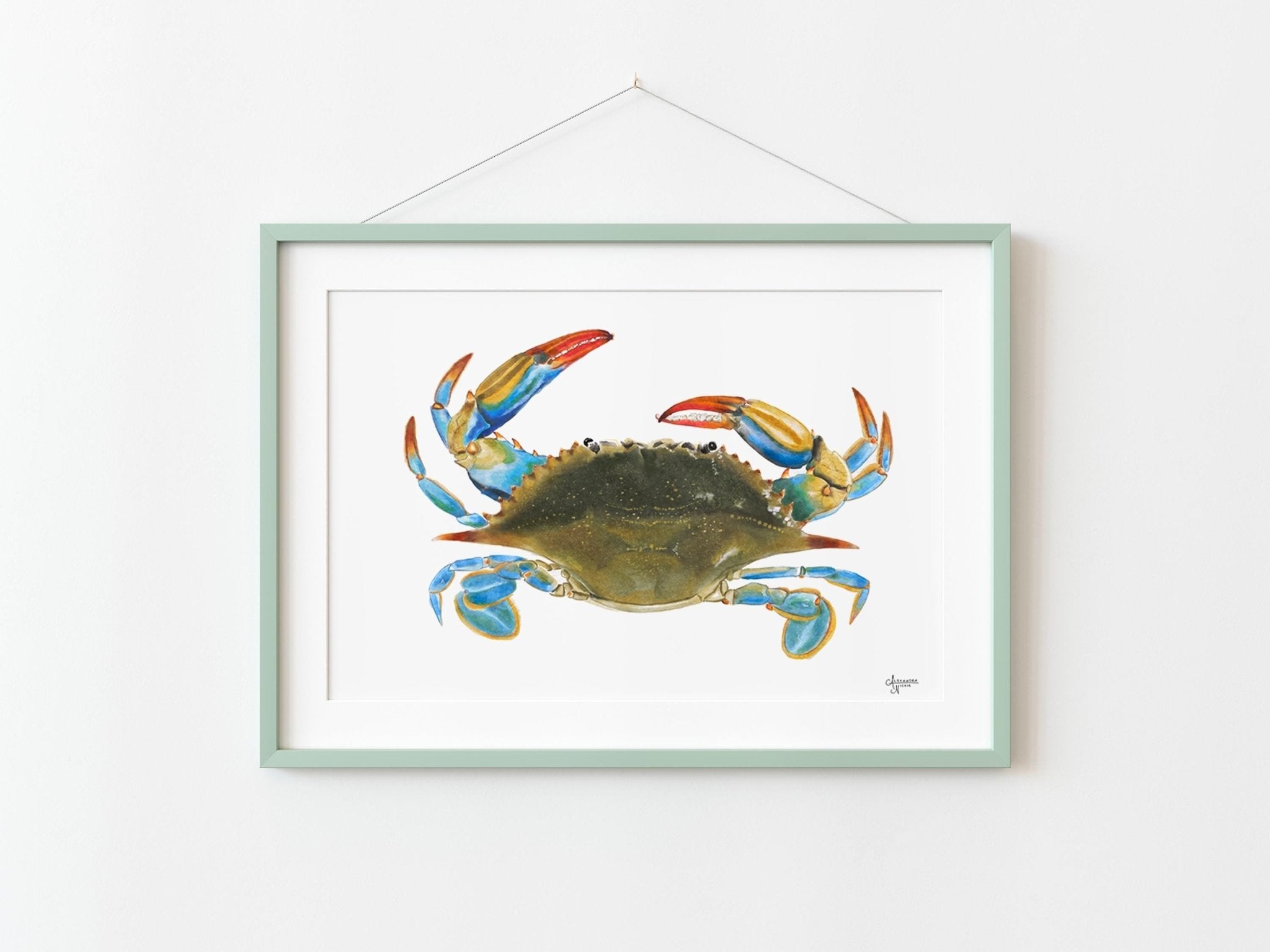 Atlantic Blue Crab Print for Coastal Vibes and Beachy Decor - ArtByAlexandraNicole