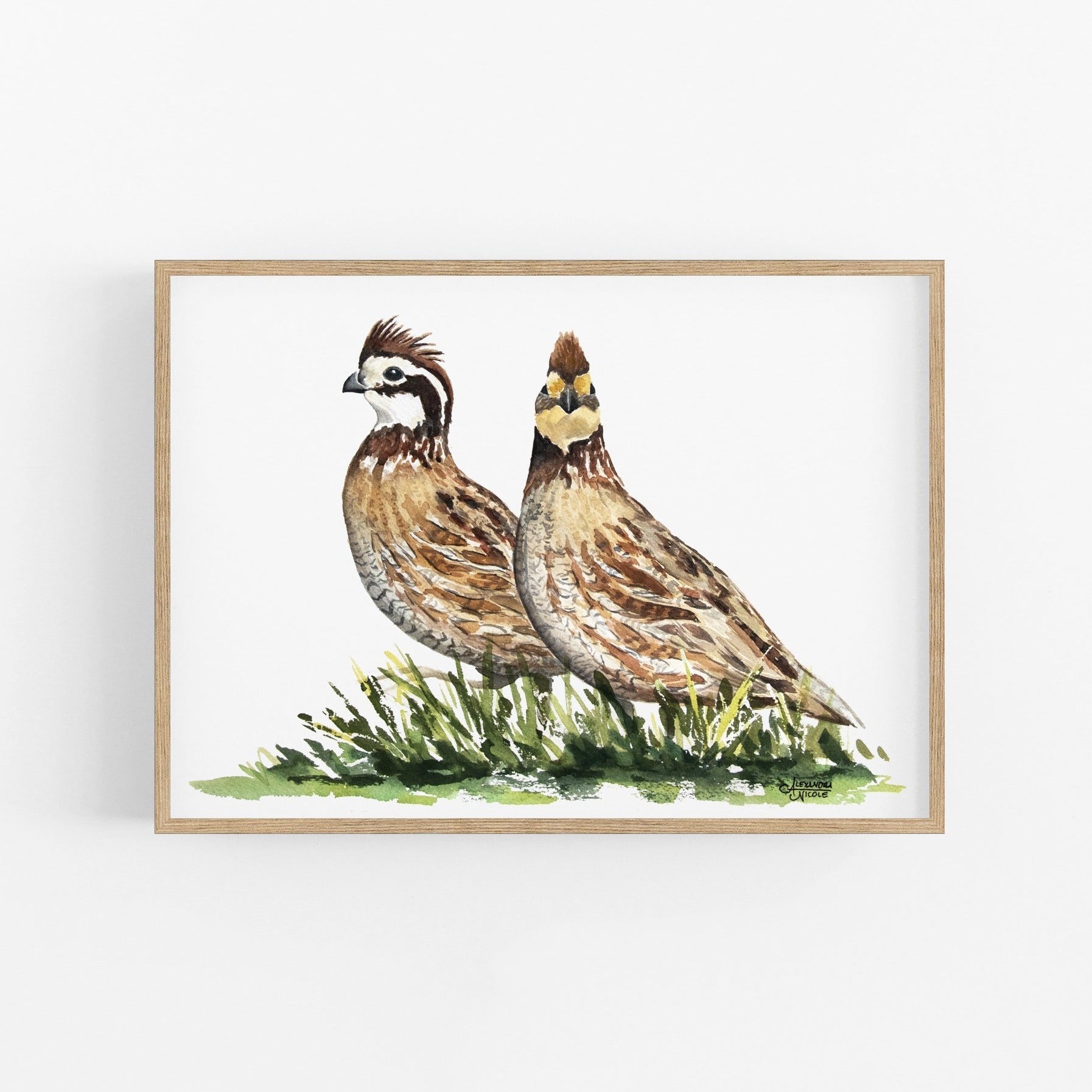 Bobwhite Quail Watercolor Print - ArtByAlexandraNicole