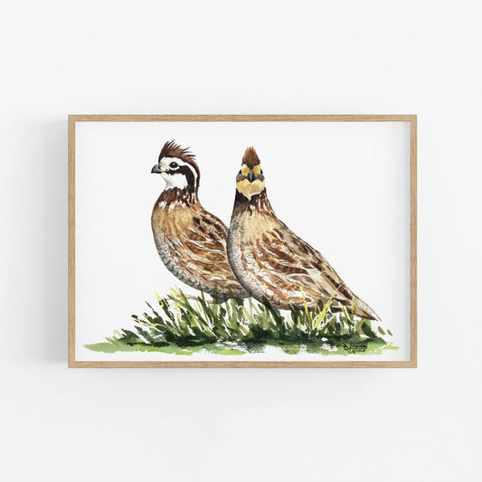 Bobwhite Quail Watercolor Print - ArtByAlexandraNicole