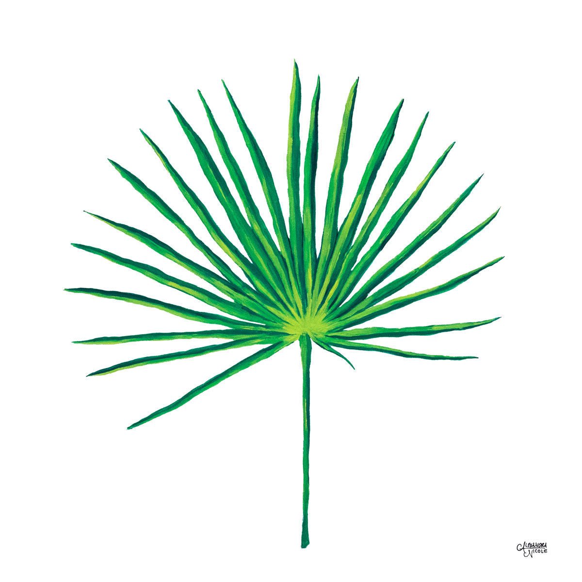 Botanical Print Set of 2, Palmetto Frond and Magnolia Flower Art - ArtByAlexandraNicole