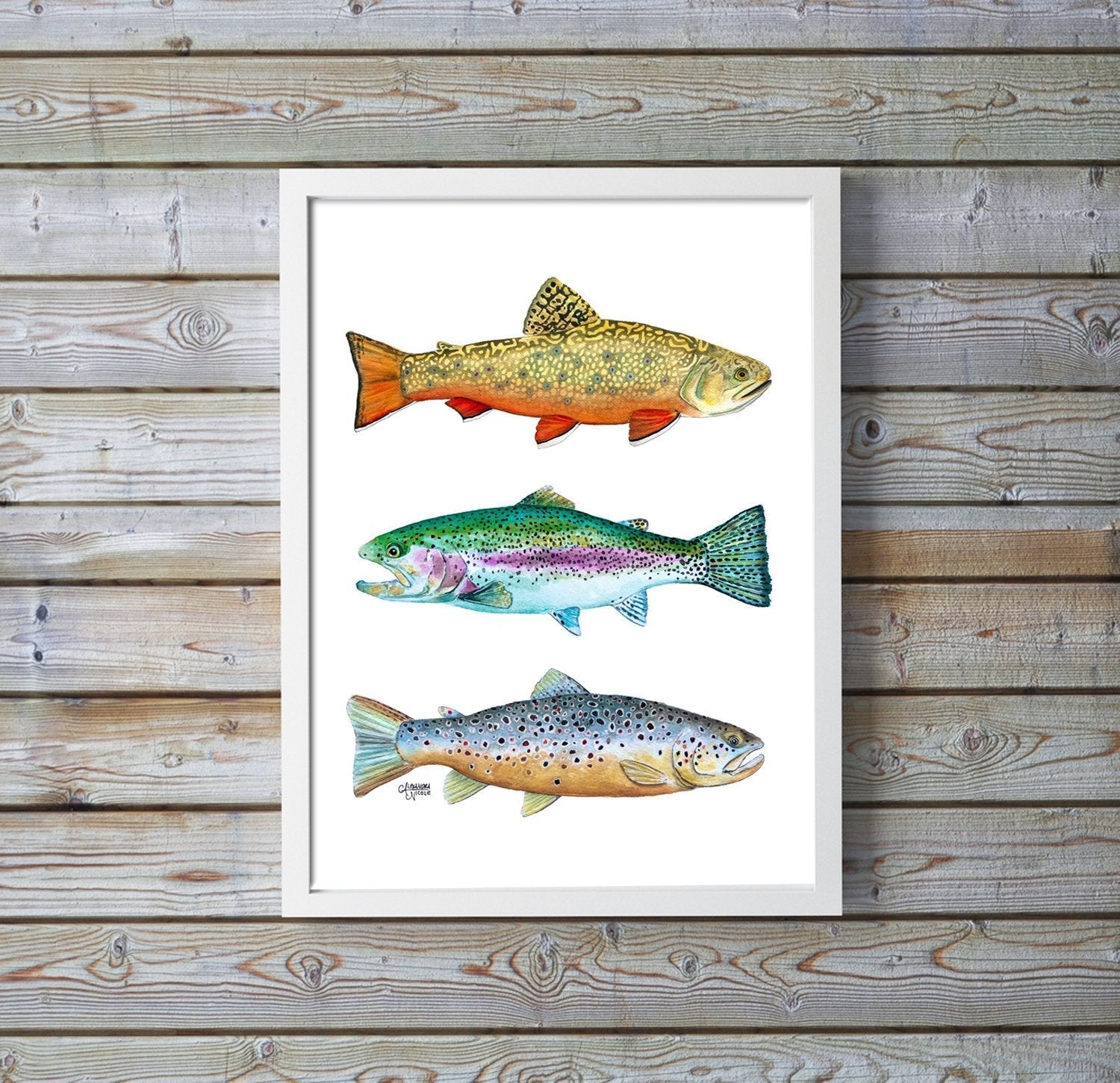 Brook, Brown, and Rainbow Trout Watercolor Print - ArtByAlexandraNicole