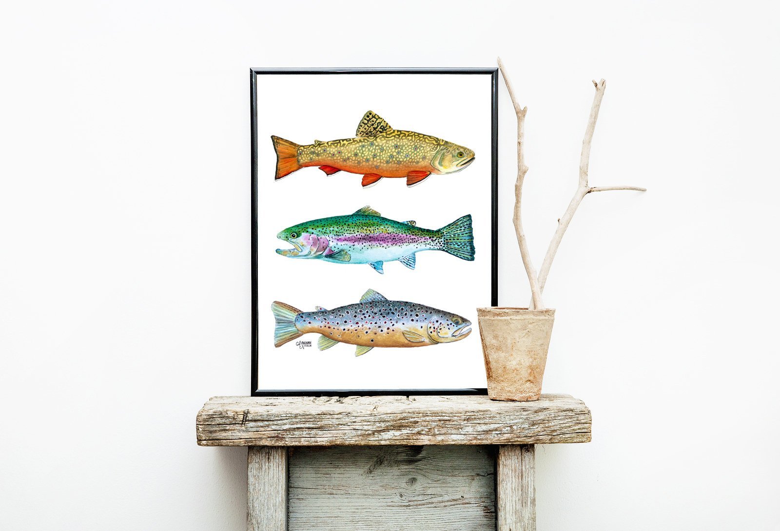 Brook, Brown, and Rainbow Trout Watercolor Print - ArtByAlexandraNicole