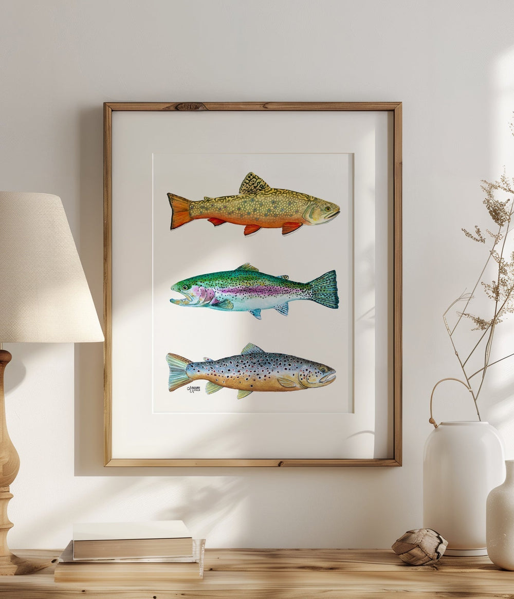 Brook, Brown, and Rainbow Trout Watercolor Print - ArtByAlexandraNicole