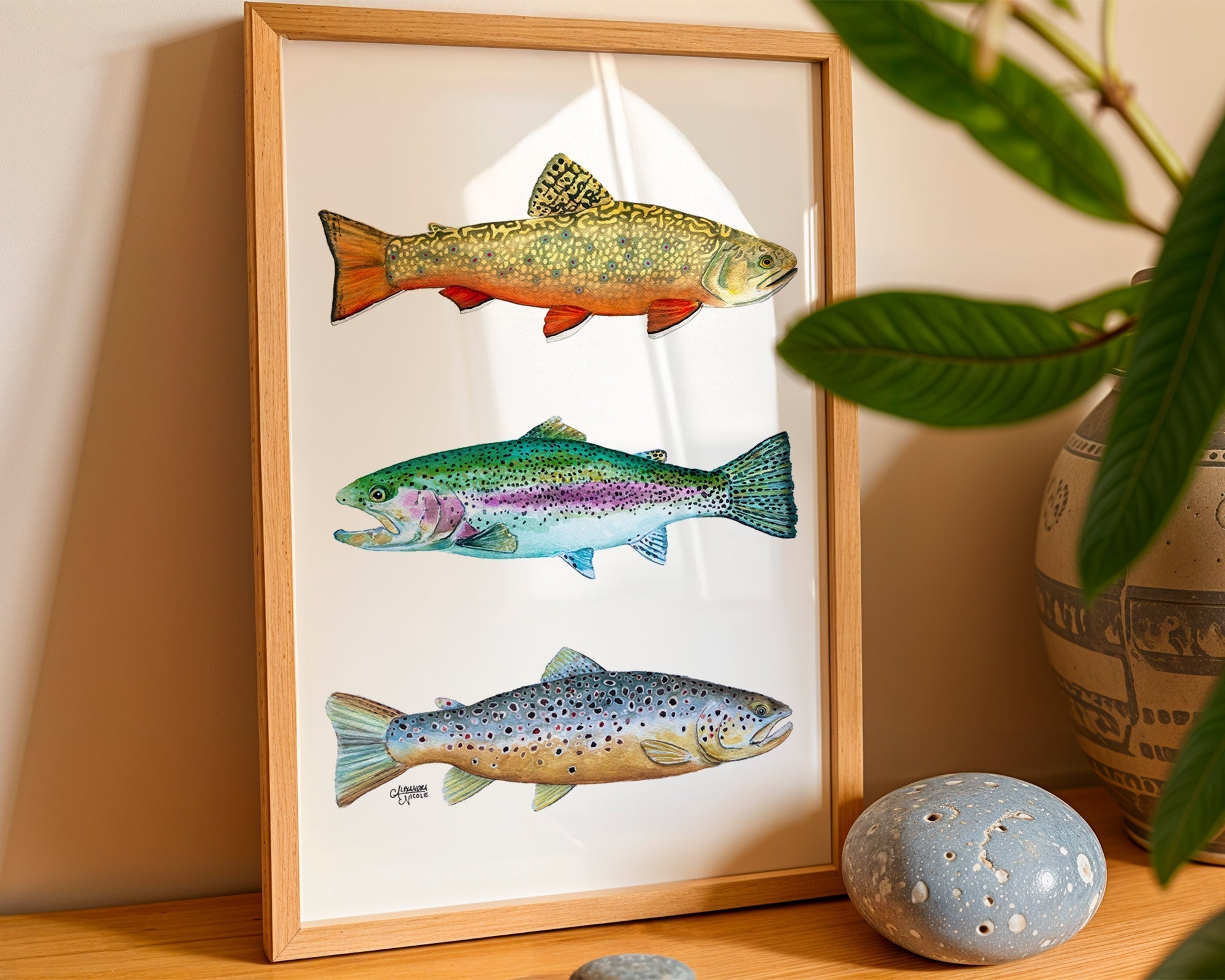 Brook, Brown, and Rainbow Trout Watercolor Print - ArtByAlexandraNicole