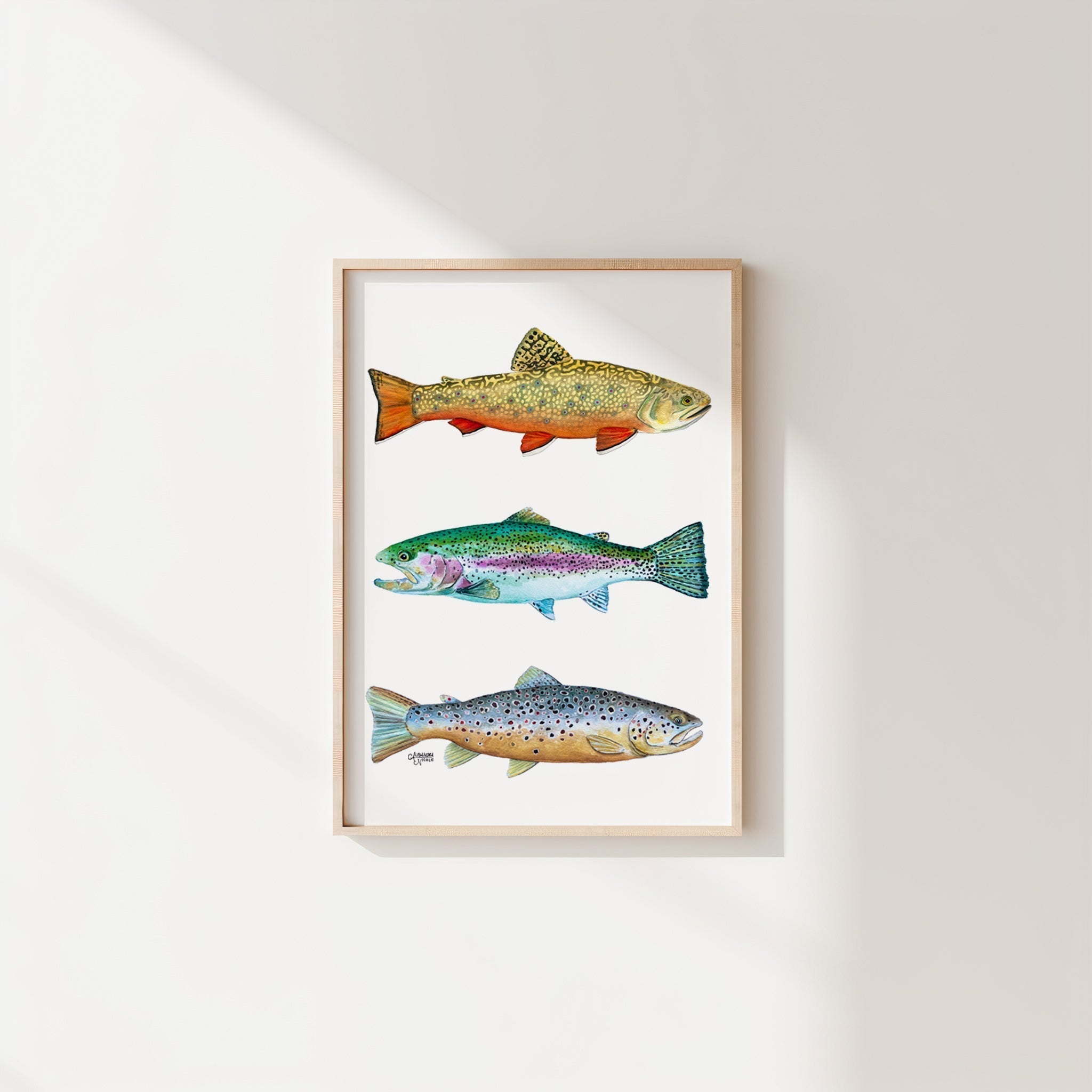 Brook, Brown, and Rainbow Trout Watercolor Print - ArtByAlexandraNicole