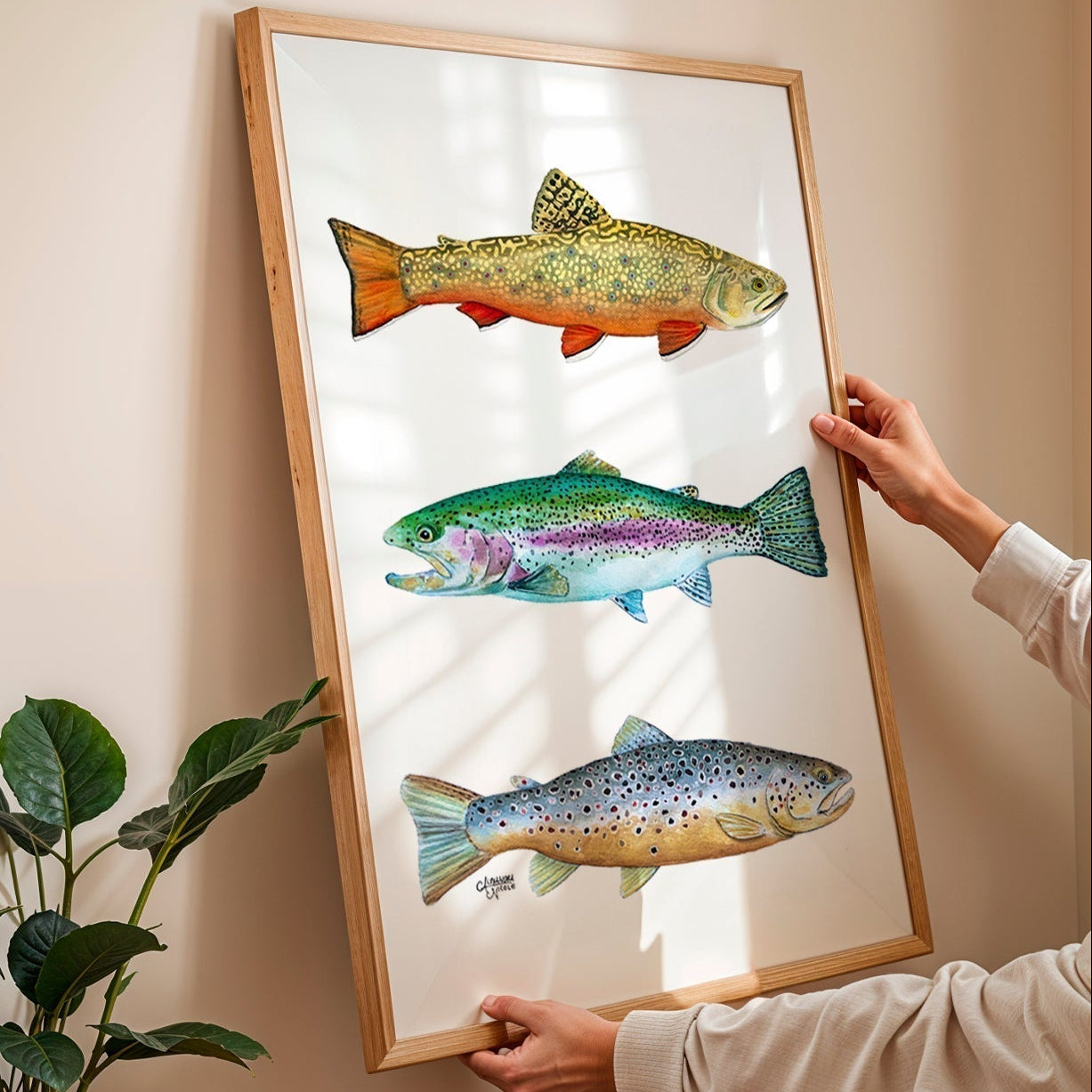 Brook, Brown, and Rainbow Trout Watercolor Print - ArtByAlexandraNicole