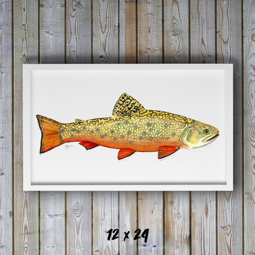 Brook Trout Watercolor Art Print - ArtByAlexandraNicole