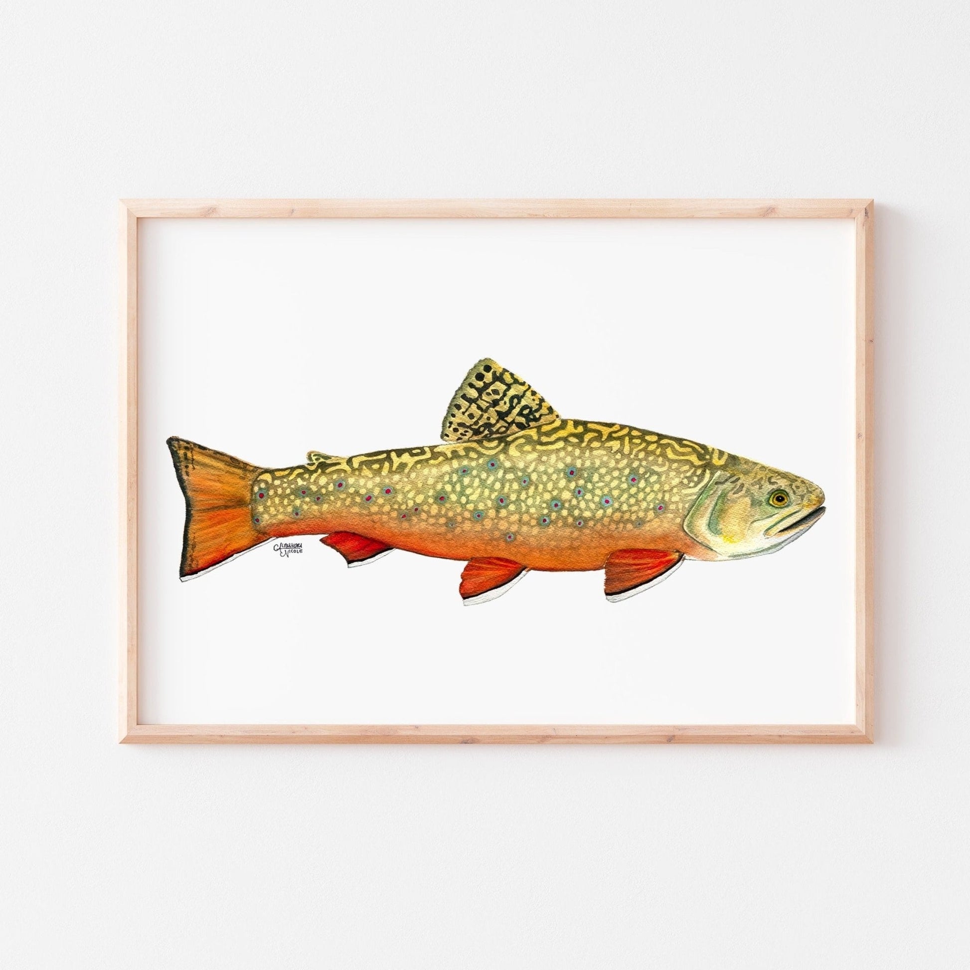 Brook Trout Watercolor Art Print - ArtByAlexandraNicole