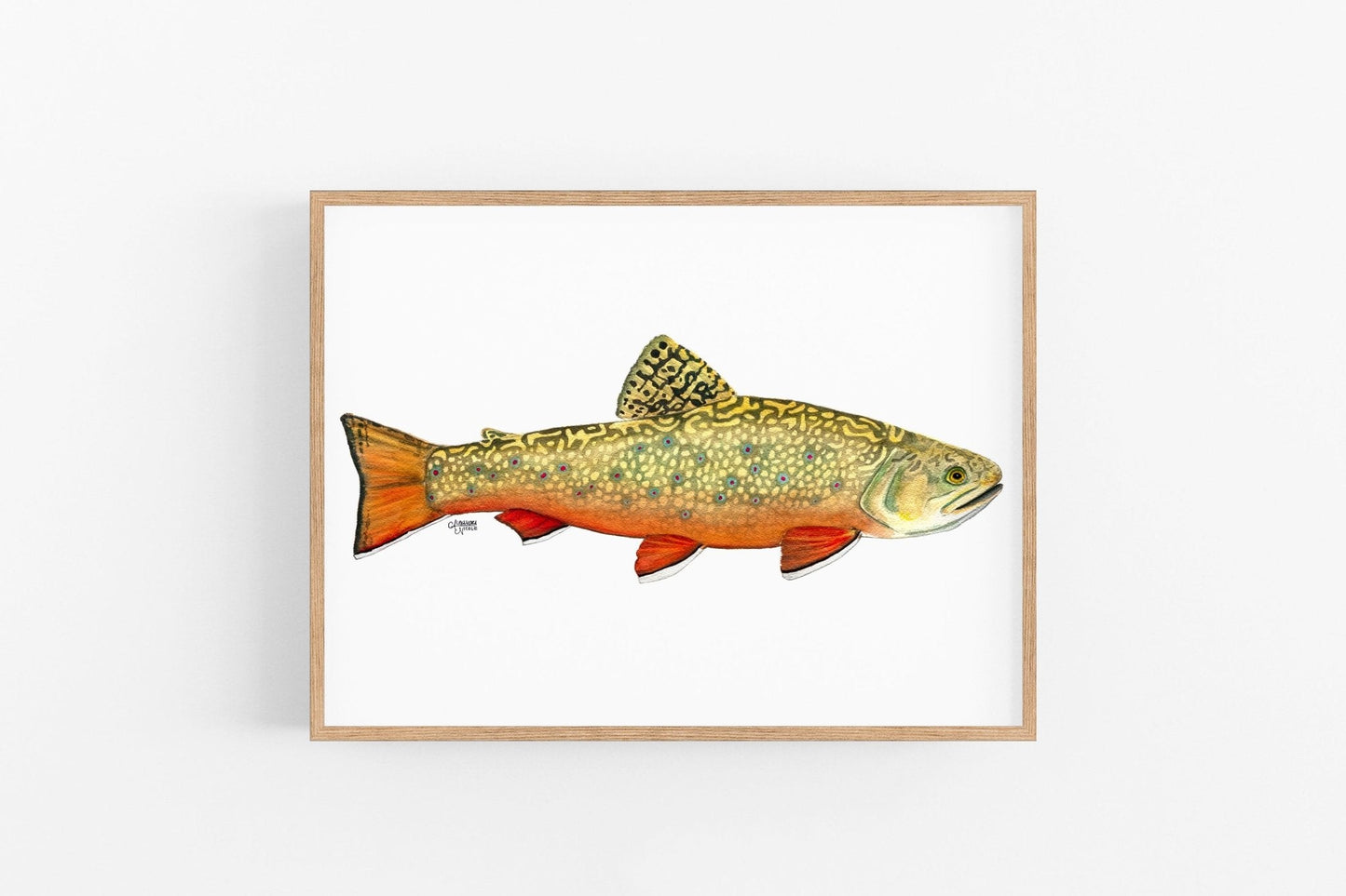 Brook Trout Watercolor Art Print - ArtByAlexandraNicole