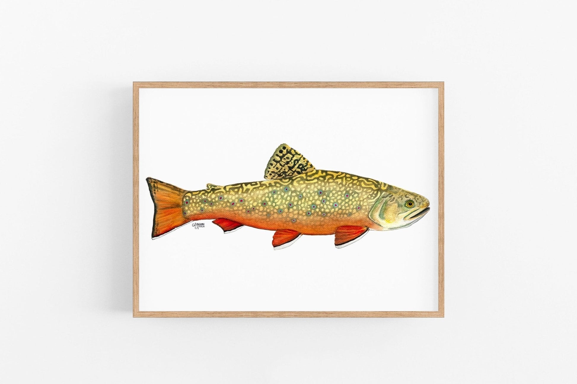 Brook Trout Watercolor Art Print - ArtByAlexandraNicole