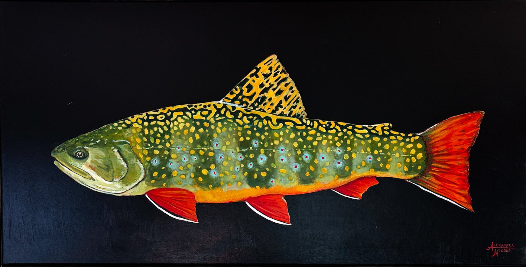 Brook Trout - ArtByAlexandraNicole