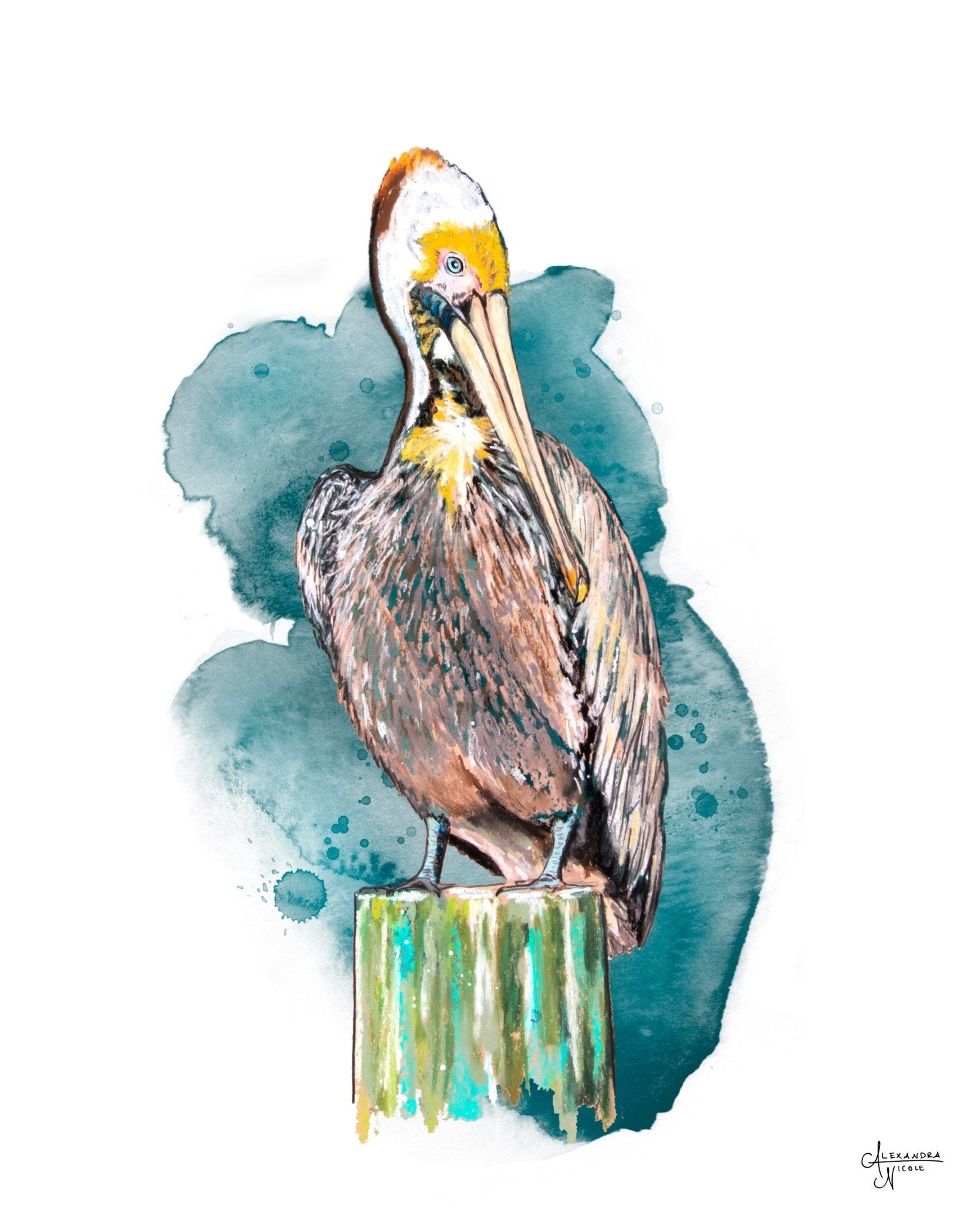 Brown Pelican Art Print - ArtByAlexandraNicole