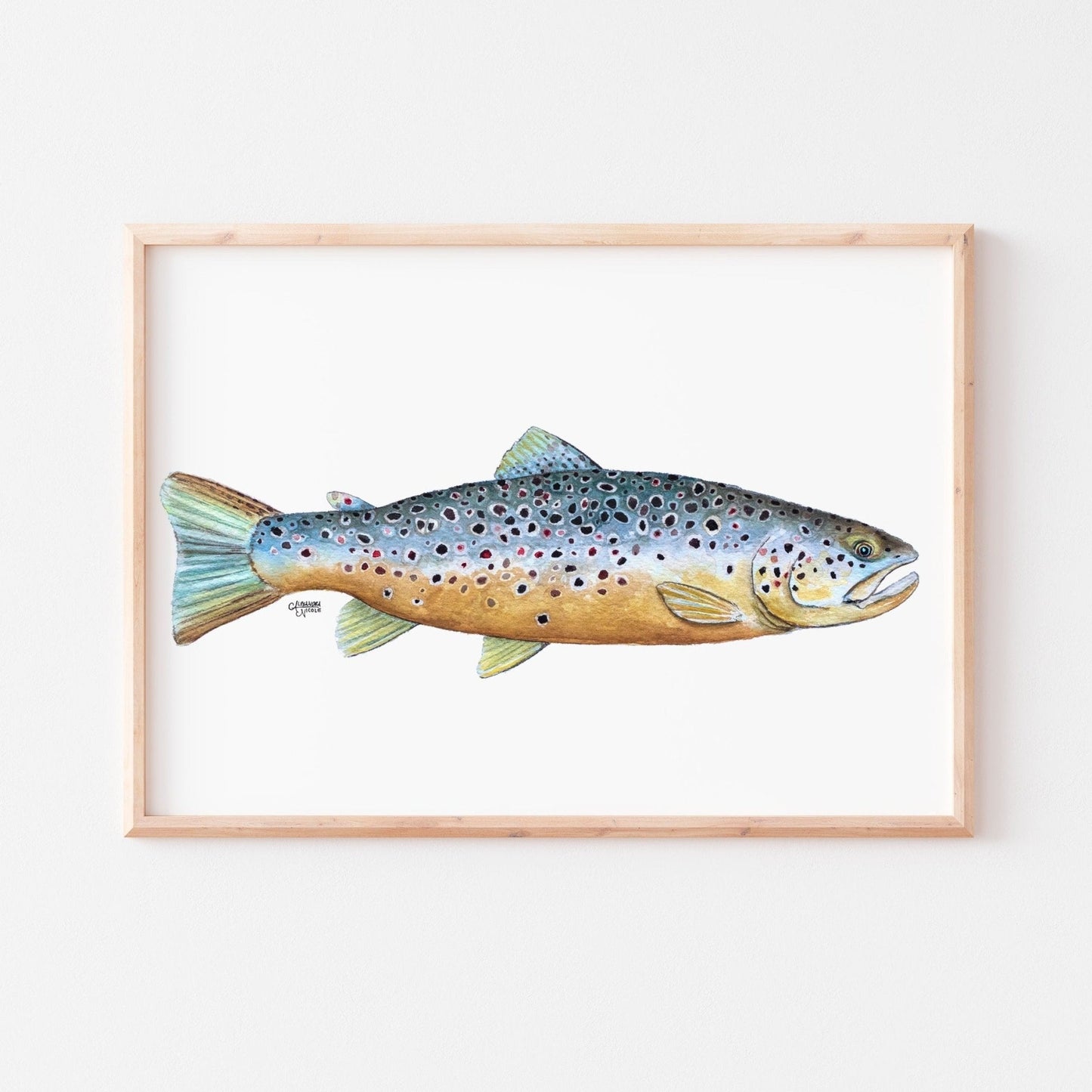 Brown Trout Watercolor Art Print - ArtByAlexandraNicole